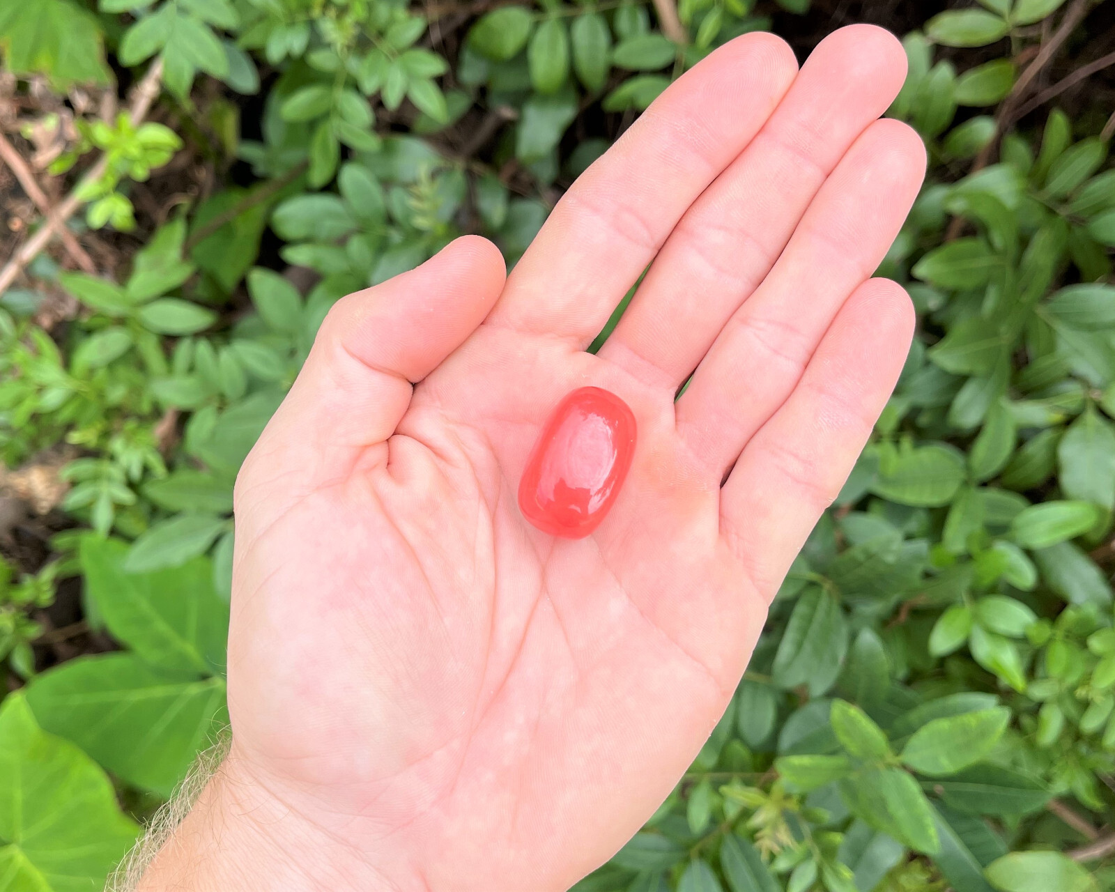 Cherry Quartz Tumbled Stones Wholesale Bulk Lots (Tumbled Strawberry Obsidian)