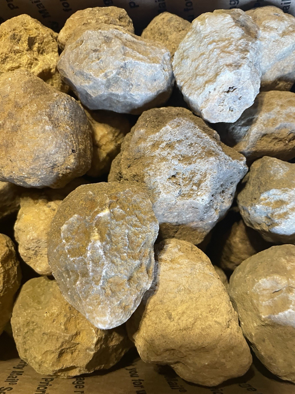BOX OF KENTUCKY GEODES:45-2” TO 2 1/2” LAPIDARY!