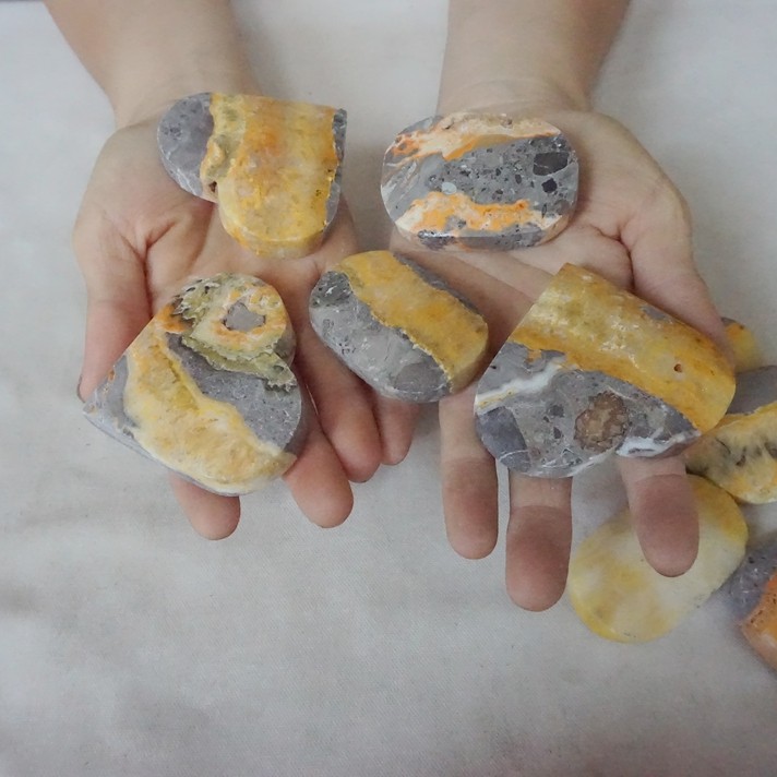 2.2LB 13Pcs Natural Bumble Bee Jasper Quartz Crystal Heart Palm Stone Healing