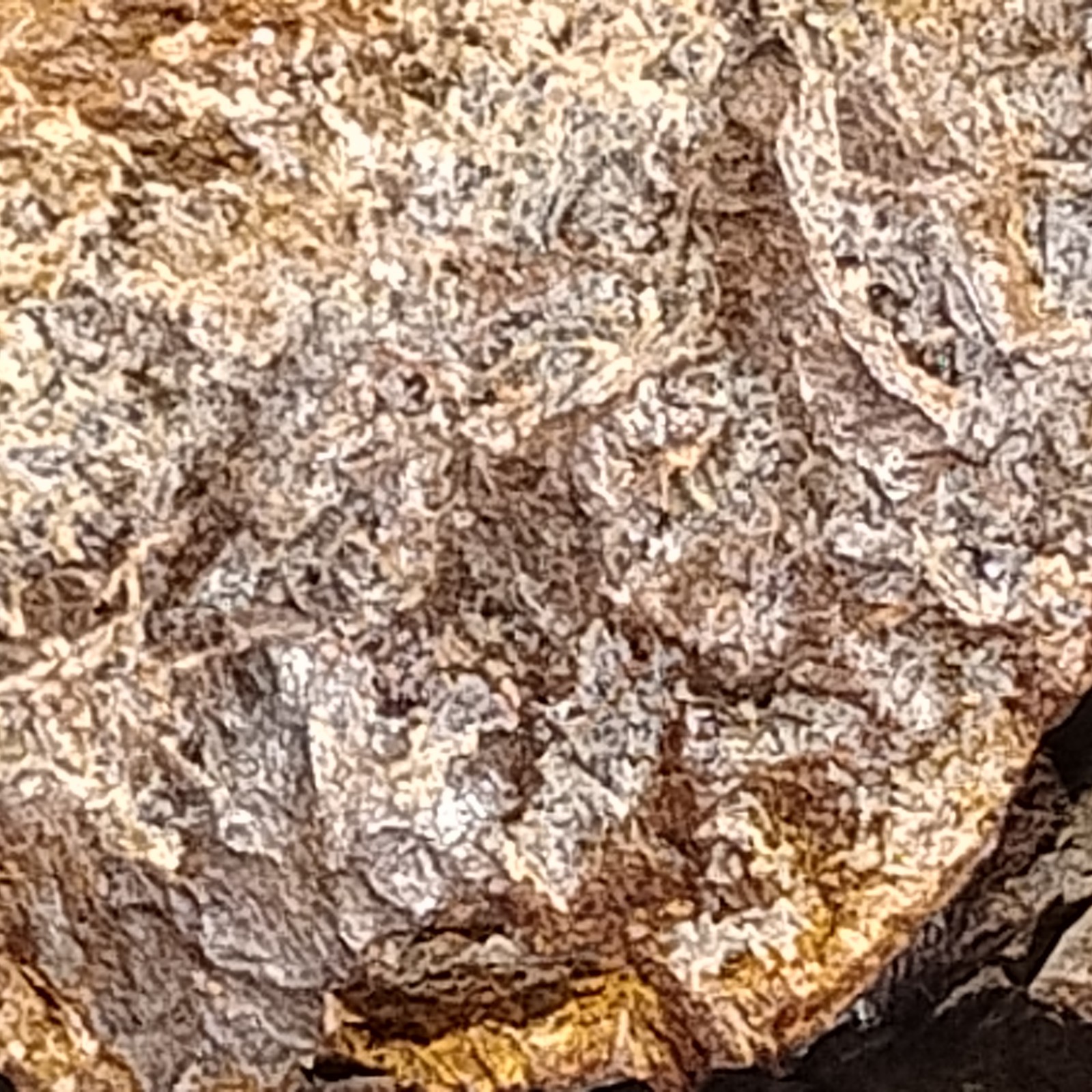 Iron Pyrite After Marcasite w/ Barite Anglesite Hematite Old Leadbelt of MO 360g