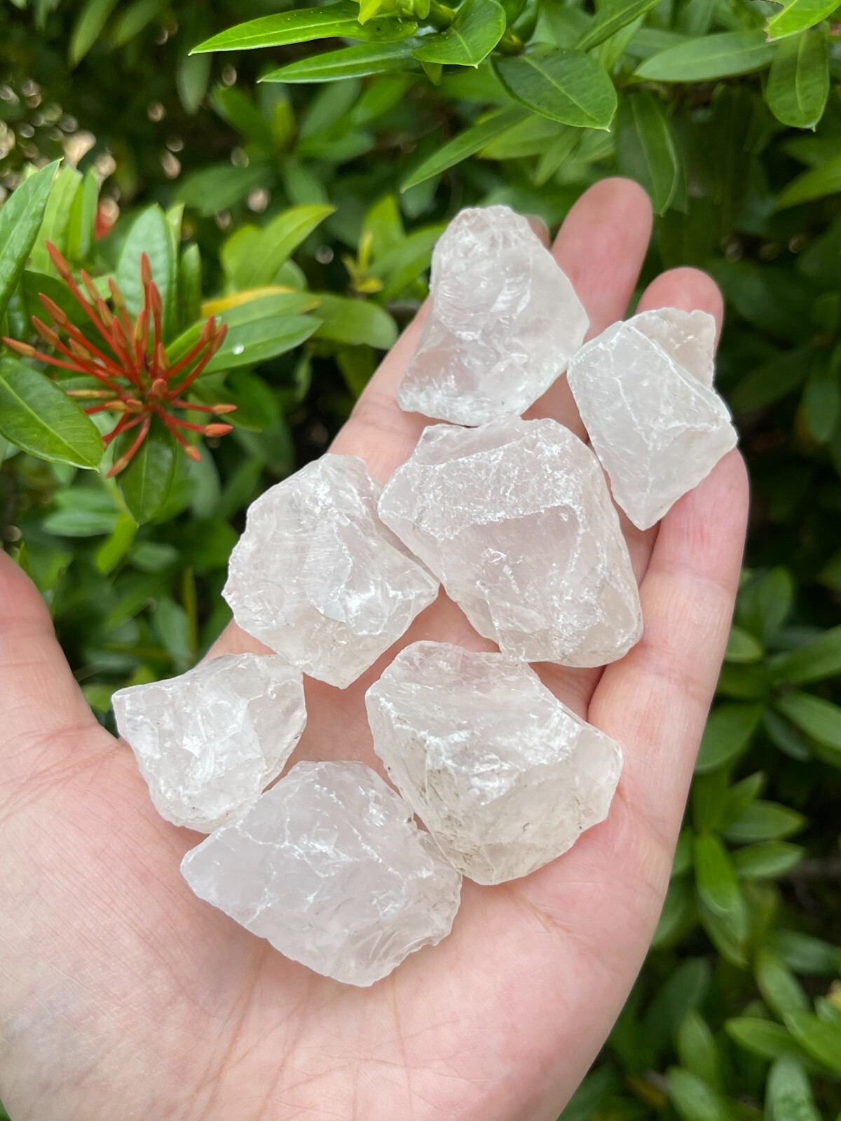 Natural Rough Clear Quartz Chunks, 1-2″ Raw Clear Quartz, Wholesale Bulk Lot