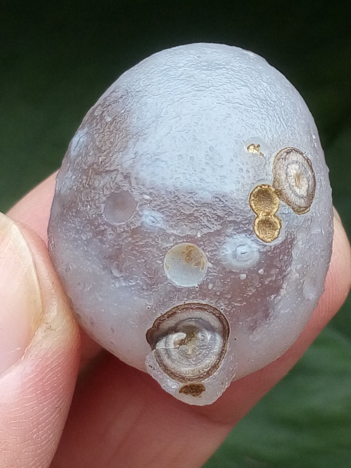 36mm Beautiful Natural agate Gobi agate eye agate stone cute collection