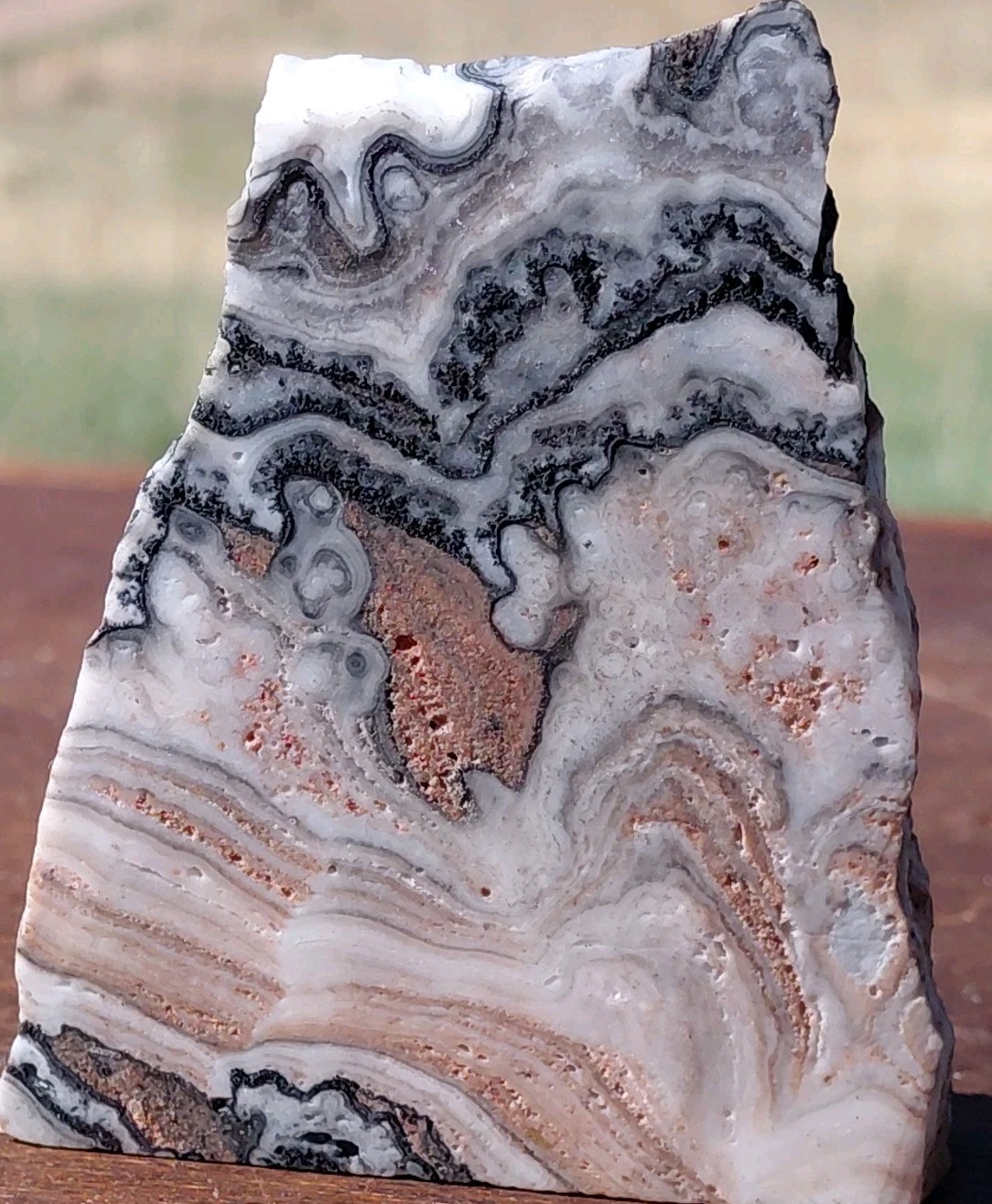 Zebra Calcite Self-Standing “Wedge” Dspl UV Psychedelic Wavey Band 3x 2 1/2″