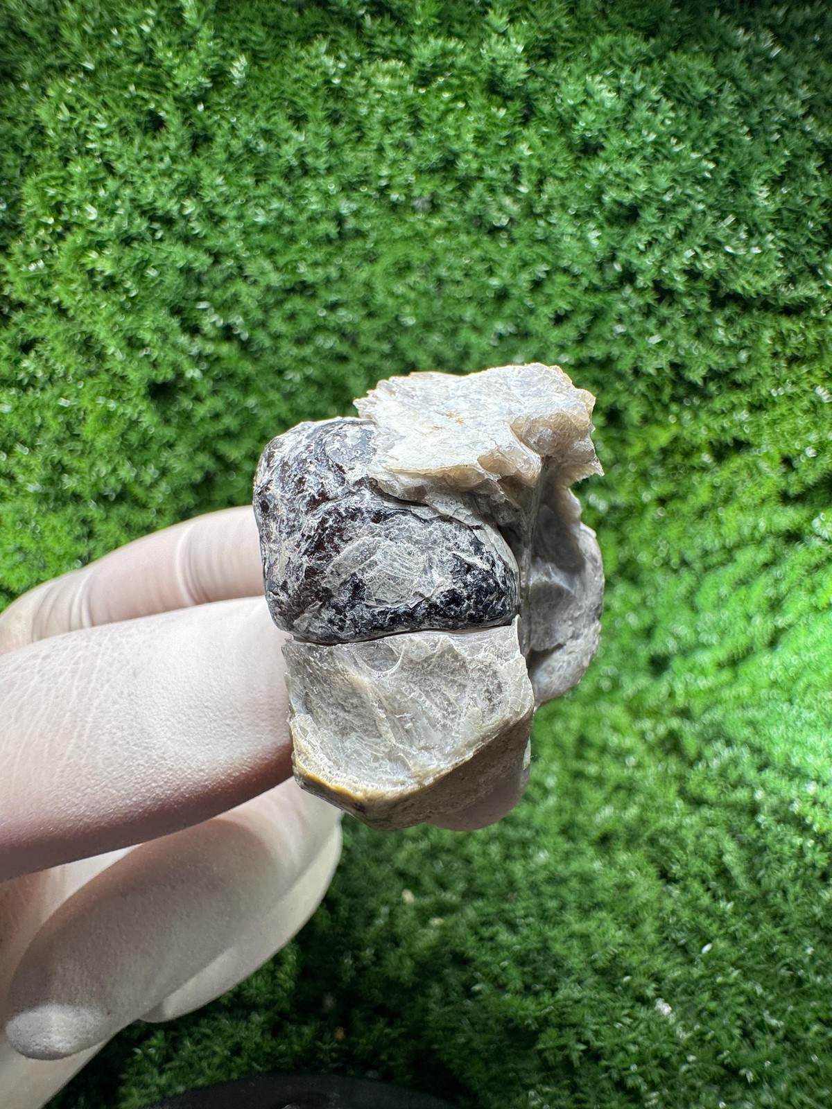 RARE BLACK TOURMALINE – from Vitosha Mountain / N830