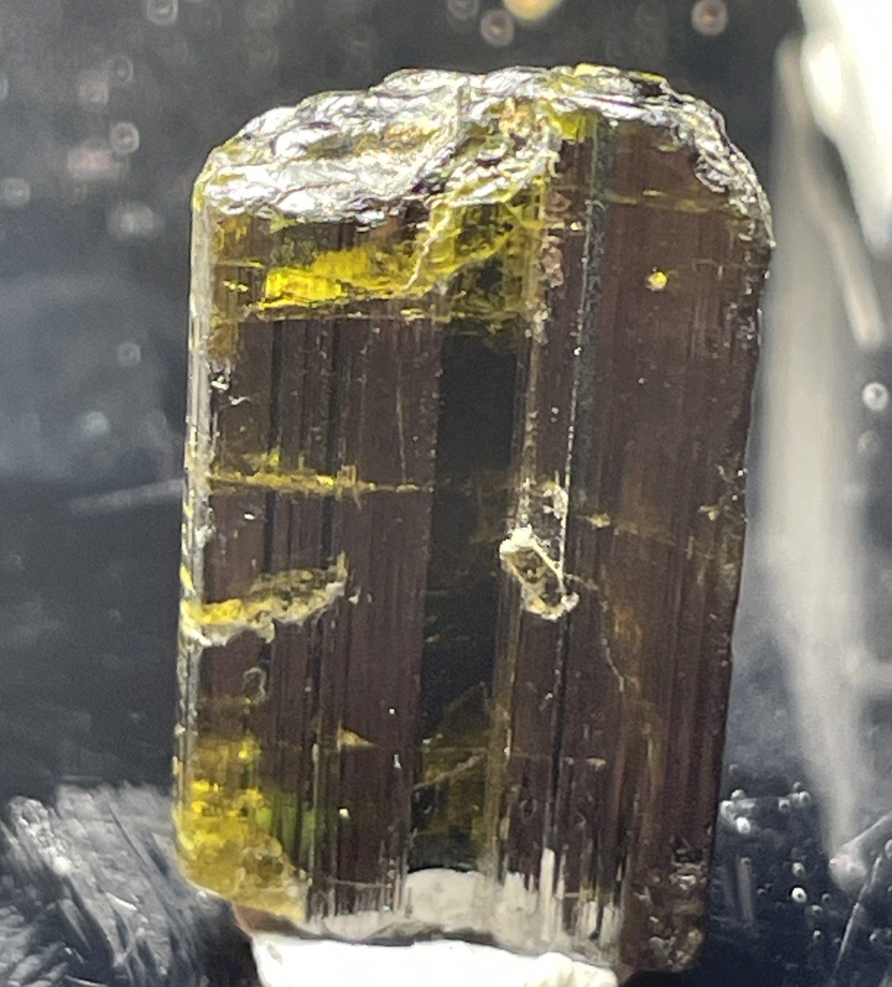 BEAUTIFUL RARE CHROME DRAVITE TOURMALINE THUMBNAIL TANZANIA, AFRICA