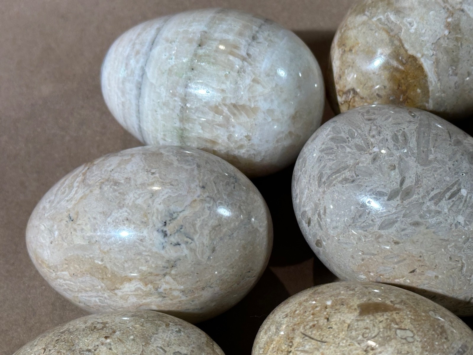 Lot of 10 Fossil Coral / Fossiliferous Limestone Polished Gemstone Eggs 2.75” –