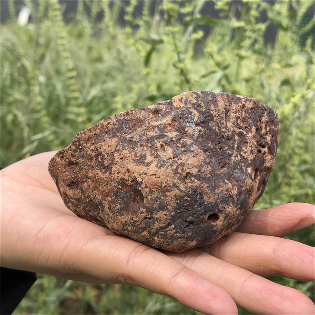 270g Natural Needle Ironstone Mineral Specimen Healing Reiki Decor Crystal Gift