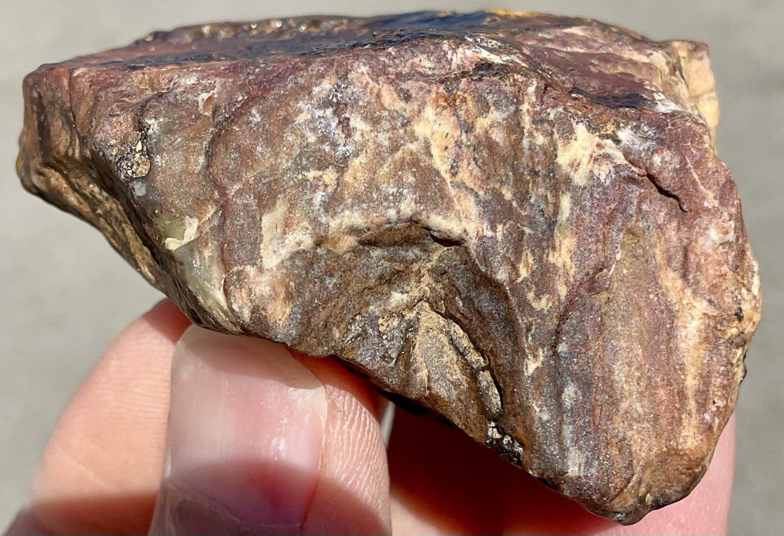 141g Banded Iron Petrified Wood Pseudomorph Rare Minnesota Rough Lapidary