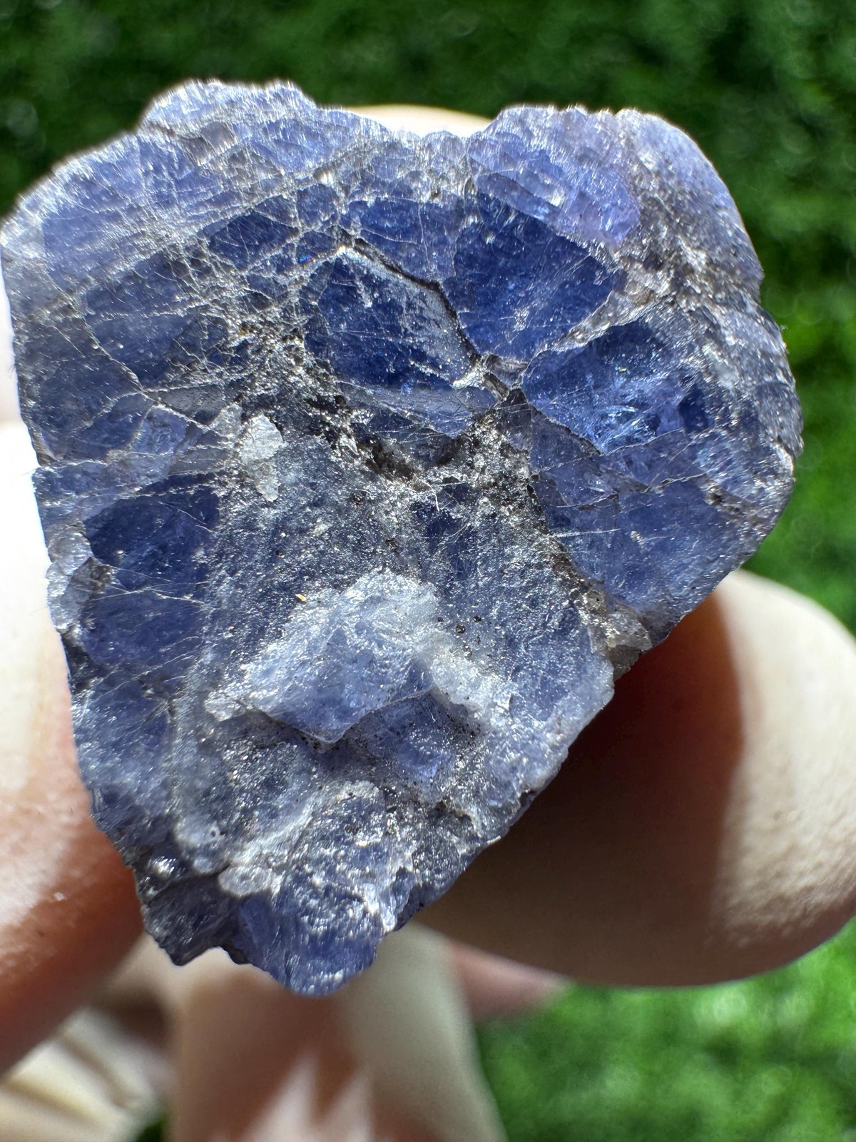 Lovely TANZANITE Crystal with COLOR CHANGE under yellow/white light / N445
