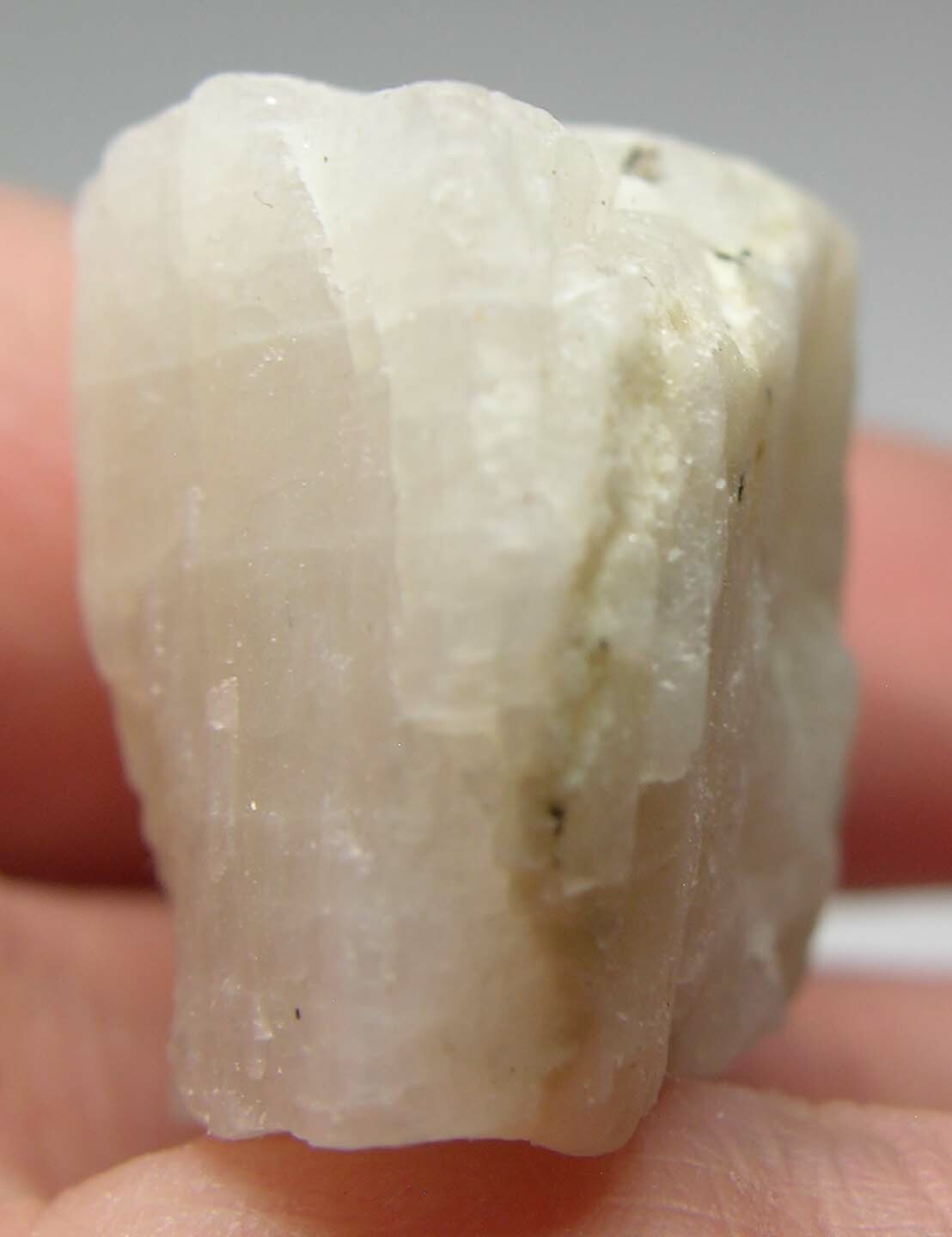 #20 Sri-Lanka 140.80ct 100% Natural Rough White MoonStone Specimen 28.15g 46mm