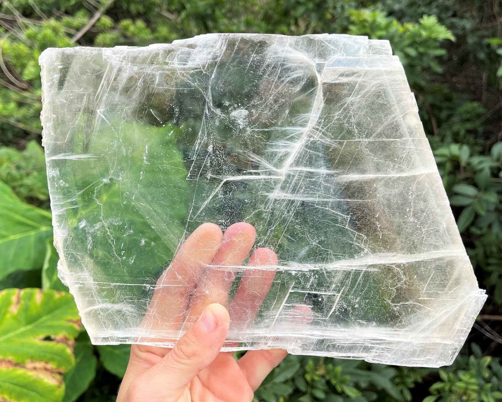 EXTRA LARGE Natural Selenite Slabs, 1-2 lb Stunning Raw Selenite Slices + Stand
