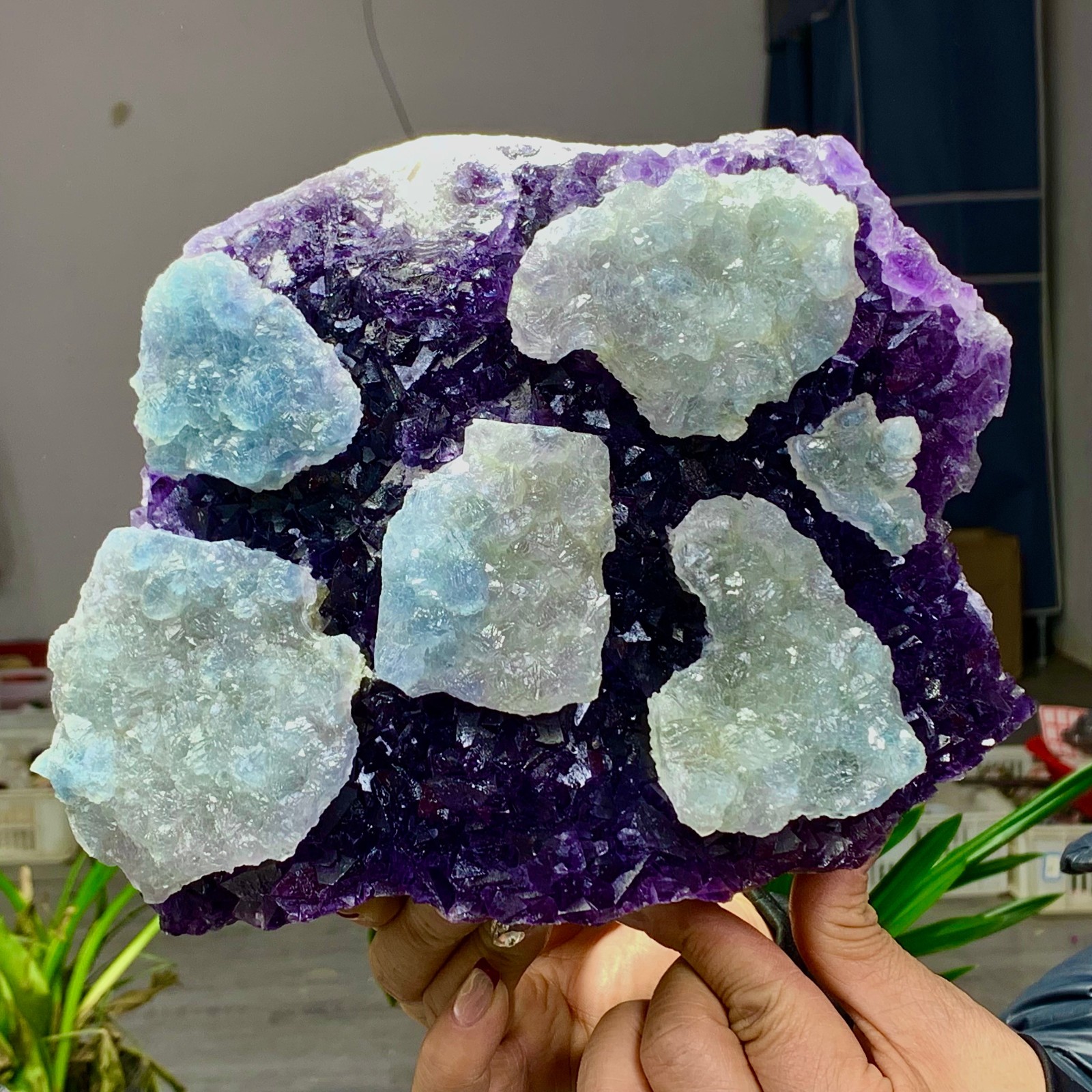 8.6LB Rare Purple Green blue cubic fluorite mineral crystal sample/Zhejiang