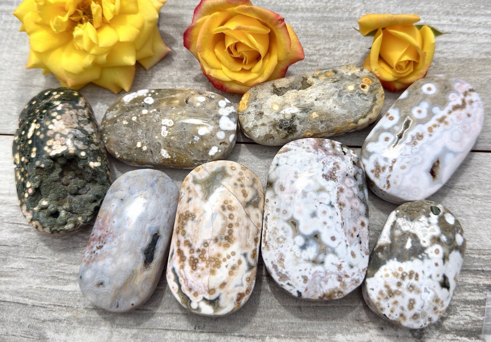 Wholesale Lot 1 Lb Natural Ocean Jasper Palm Stone Crystal Healing Energy.