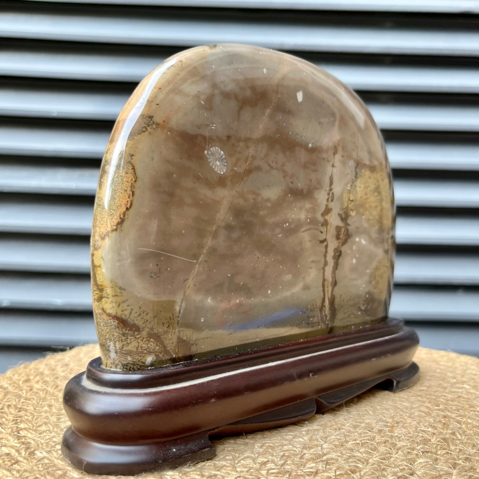 Natural Stone Display Polished Scenic Pattern Art w/ Stand 5.8 lb