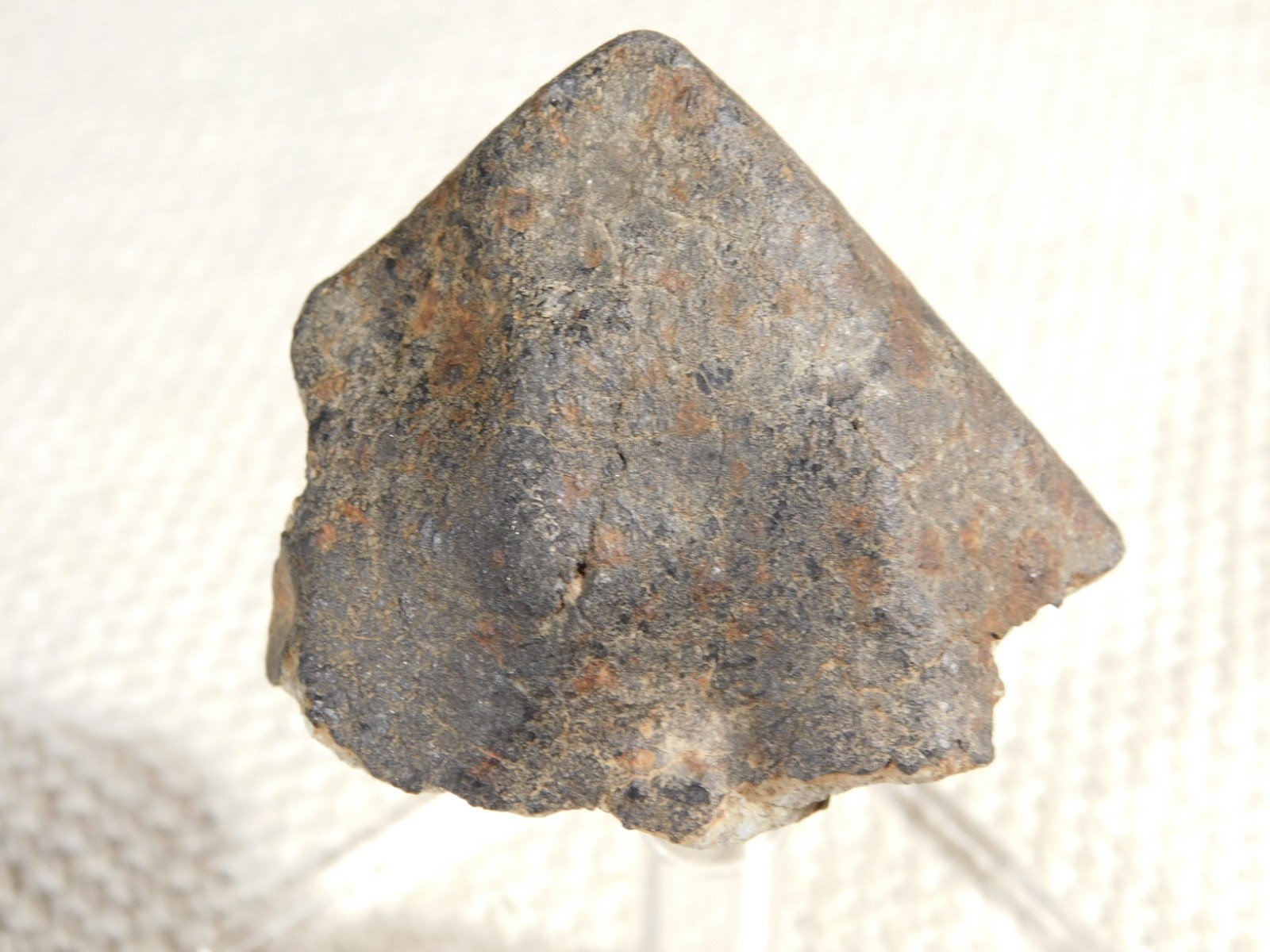Classified NWA 8245 METEORITE 100% Natural FELL in Erfoud, Morocco 63.2gr