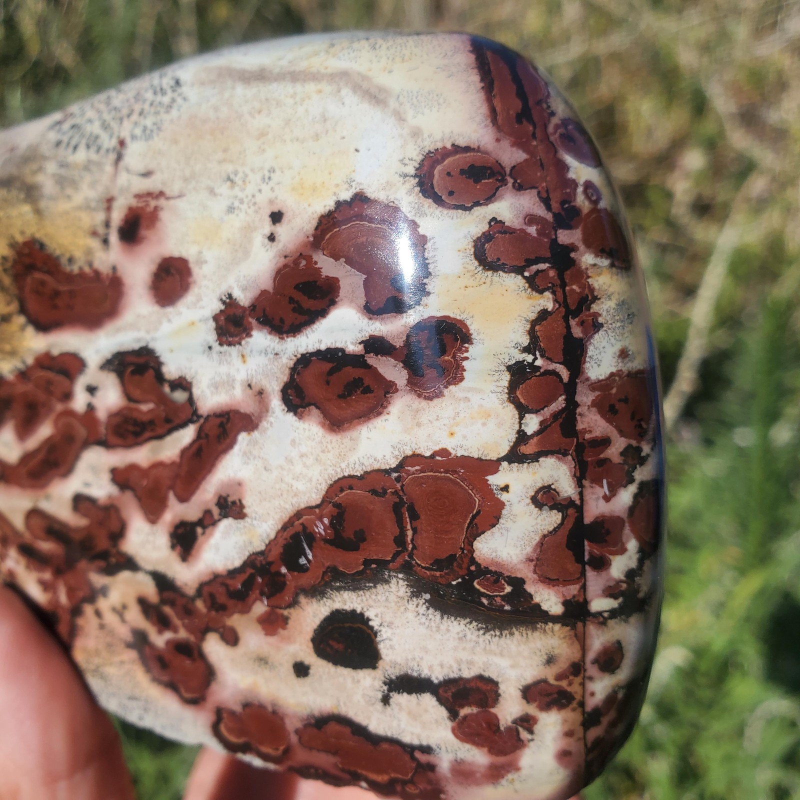 Picture Stone Jasper Dendritic Dendrite Display Freeform | 3lbs 5oz | 1490 Gram