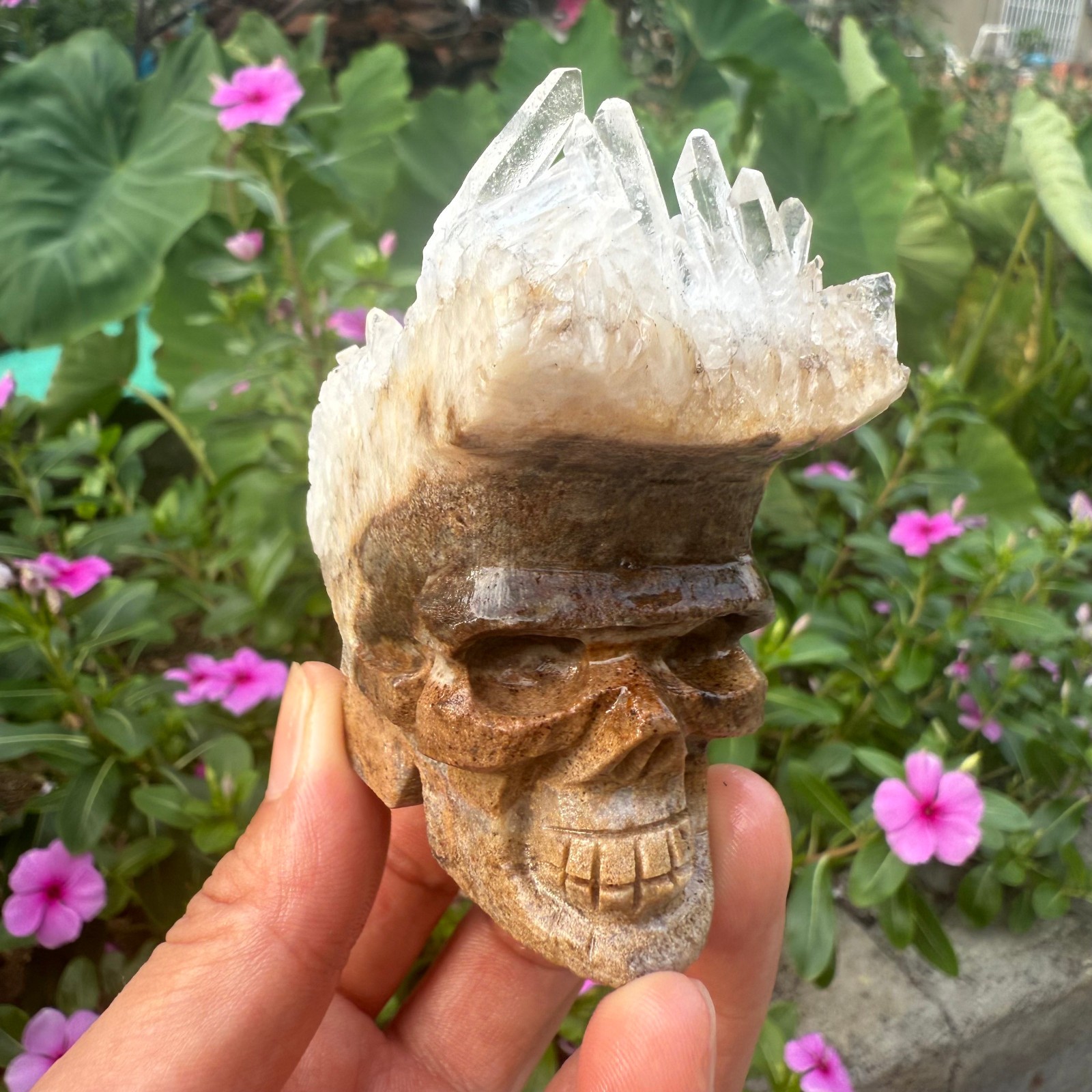 Natural Crystal Quartz Cluster carved Skull Reiki Healing 1pc