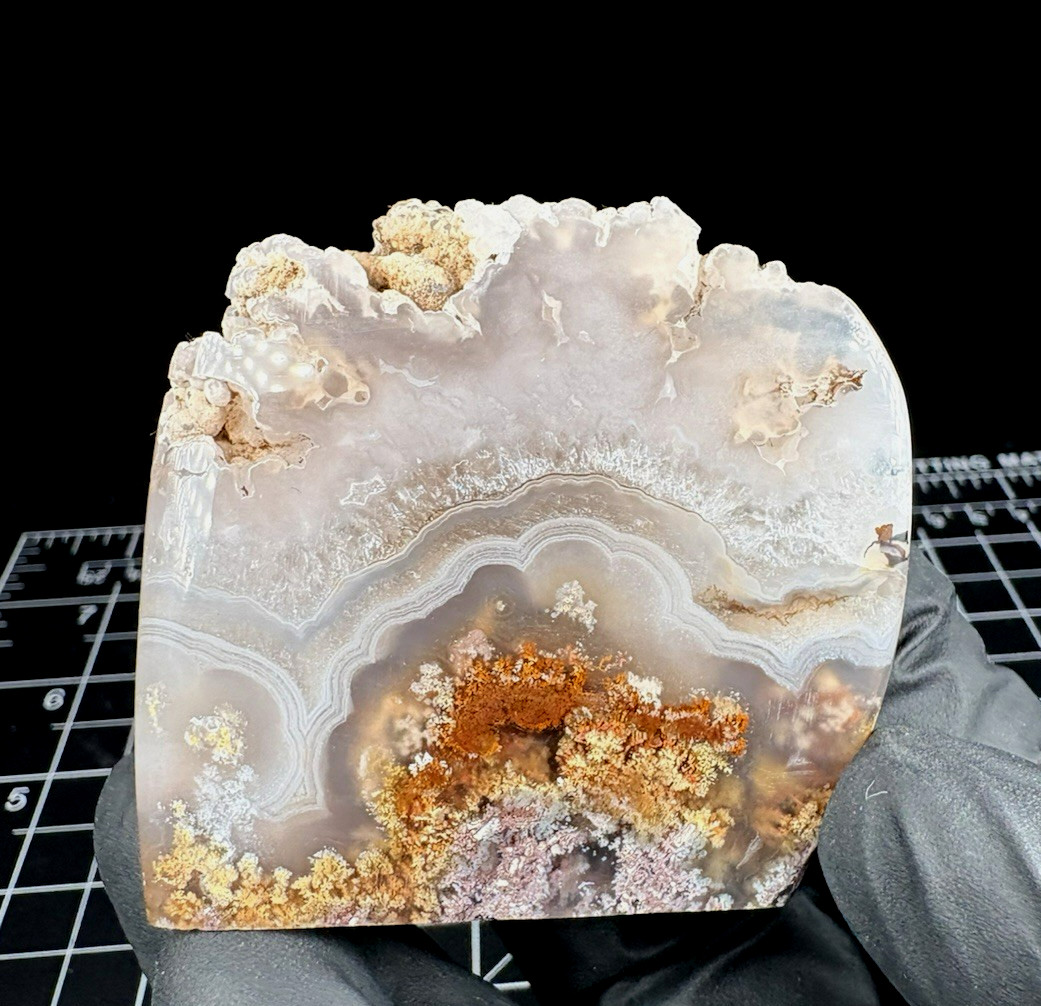 Oregon Moss Agate Free Form Polished Collector Specimen Display Foot Cut Unique