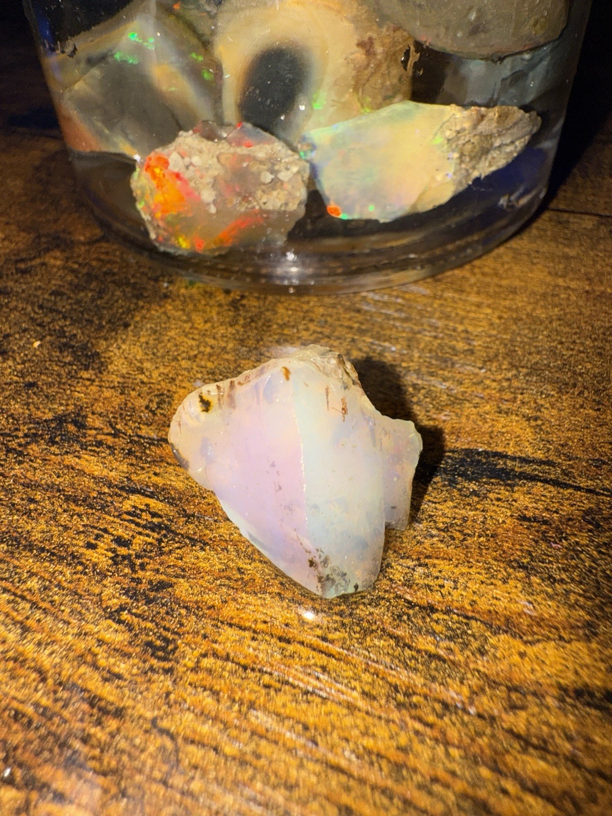 Specimen Rough Opal Stones in Jar – Ethiopian Rough, Multiple Mixed-Color Pieces