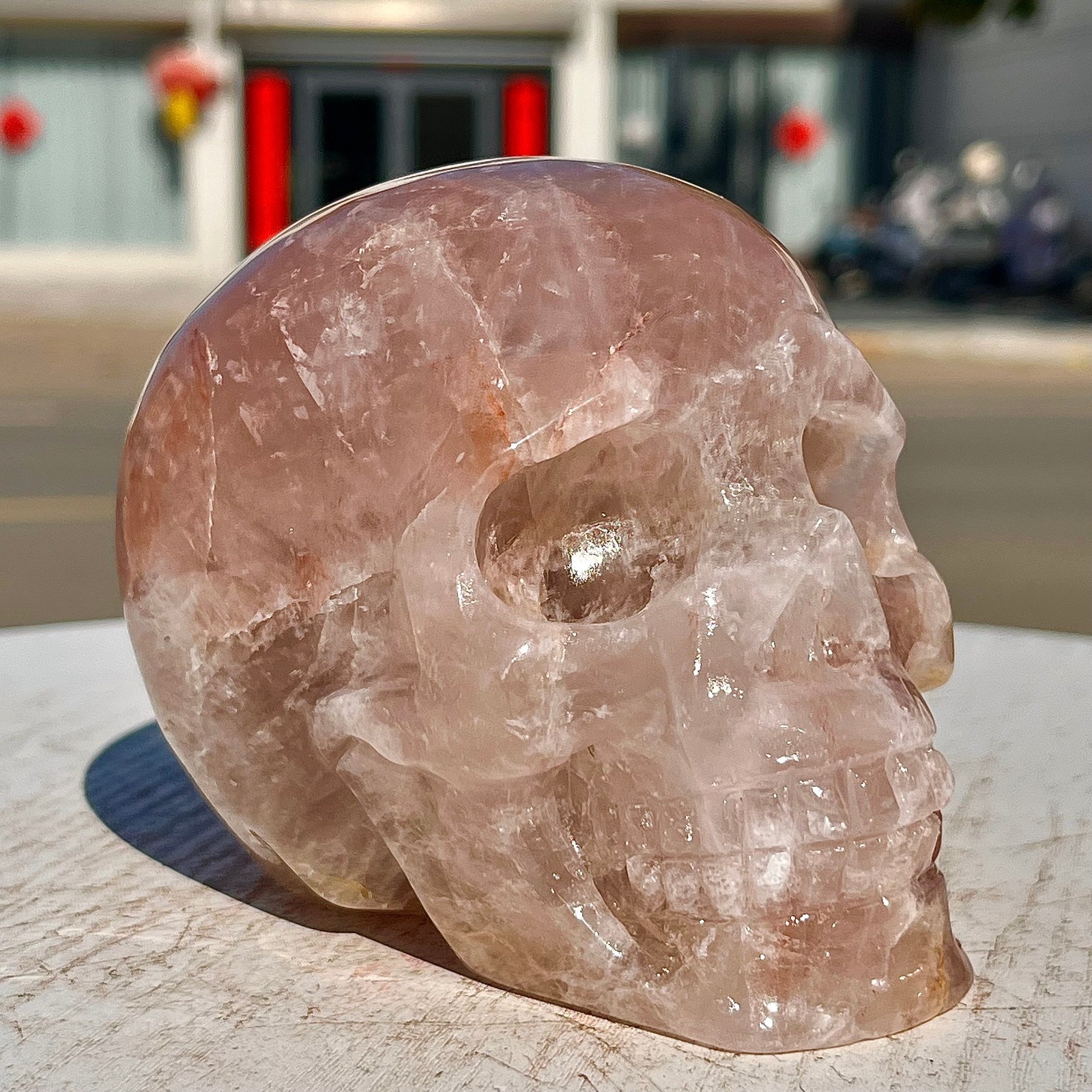 2.71LB Red Gum Flower Skull Carving | Handmade Carving | Healing Energy