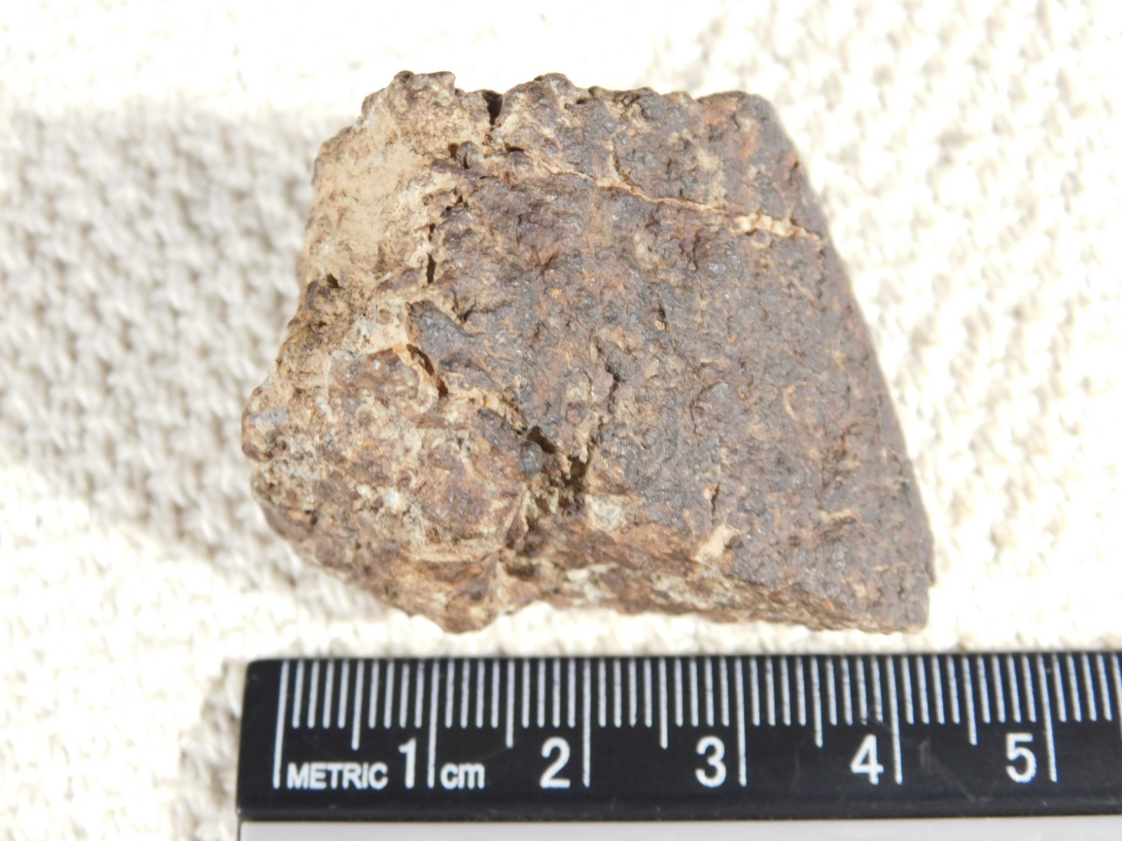 Classified NWA 8245 METEORITE 100% Natural FELL in Erfoud, Morocco 65.9gr