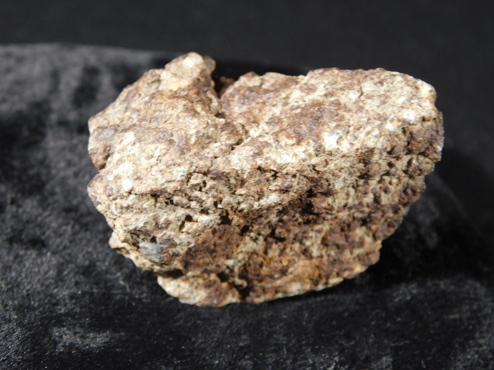 Classified NWA 8245 METEORITE 100% Natural FELL in Erfoud, Morocco 65.9gr