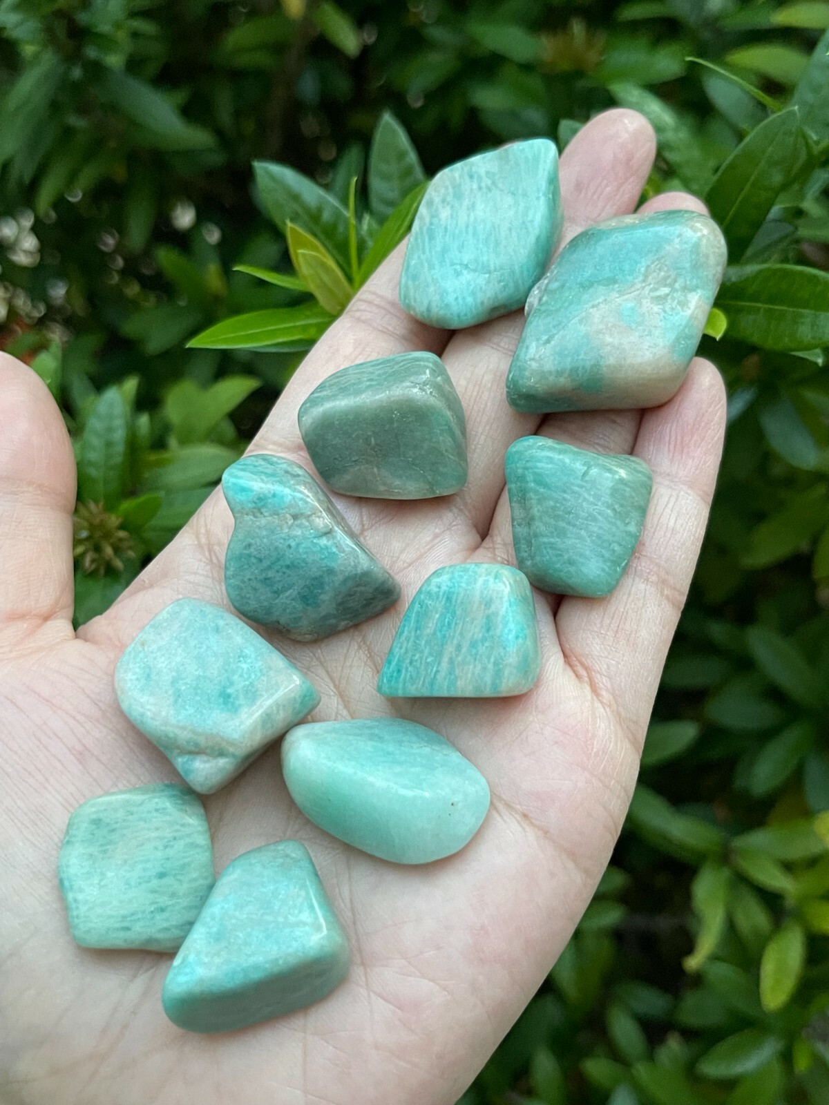 Grade A++Amazonite Tumbled Stones, 0.8″-1.25″ Polished Amazonite, Wholesale Lots