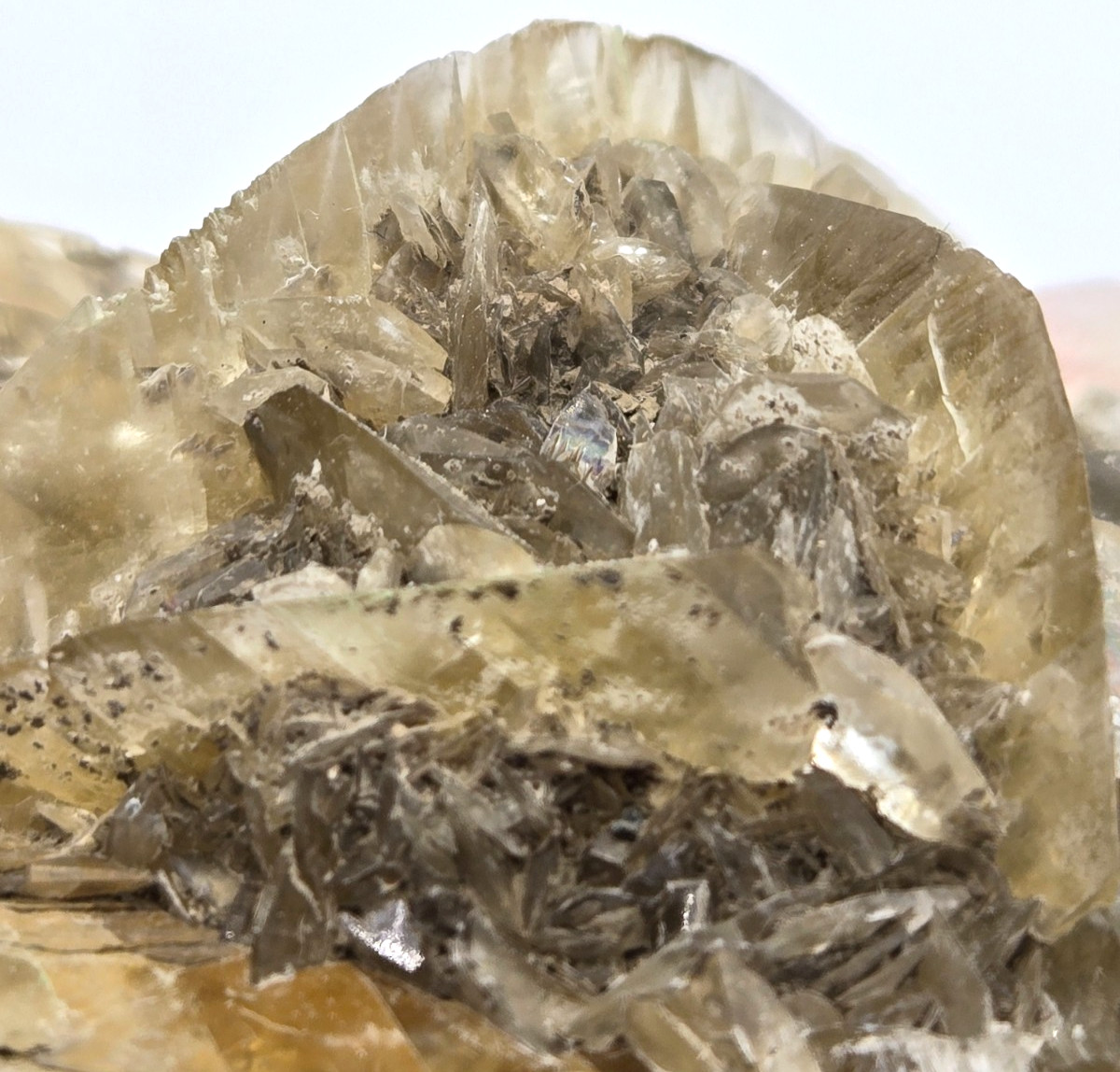 +++ GYPSUM VAR. SELENITE RED RIVER FLOODWAY, WINNIPEG, MANITOBA, CANADA +++