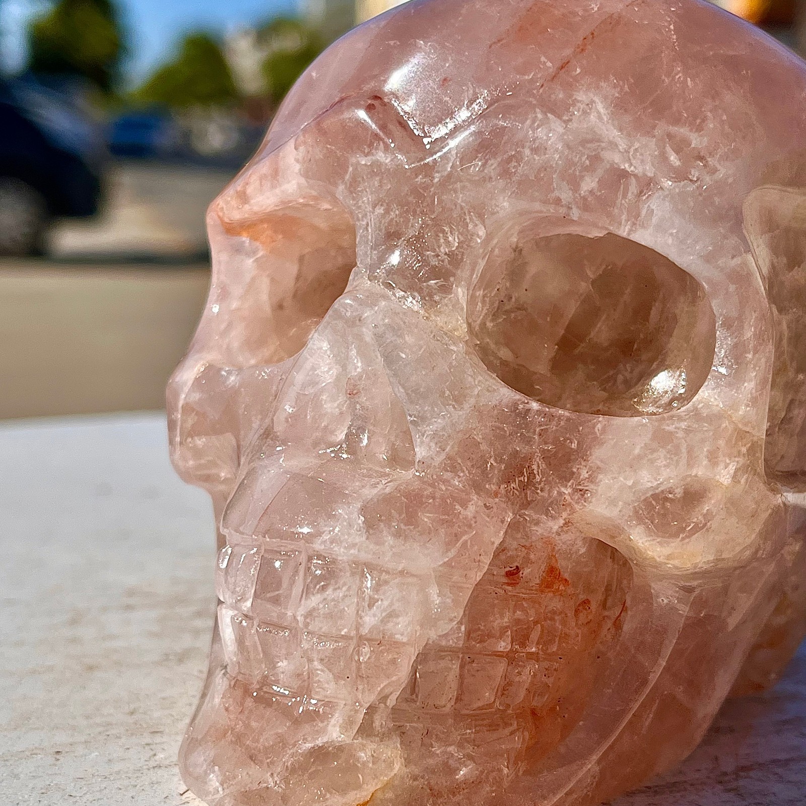 2.71LB Natural dreamy red gum flower skull hand carved skull healing