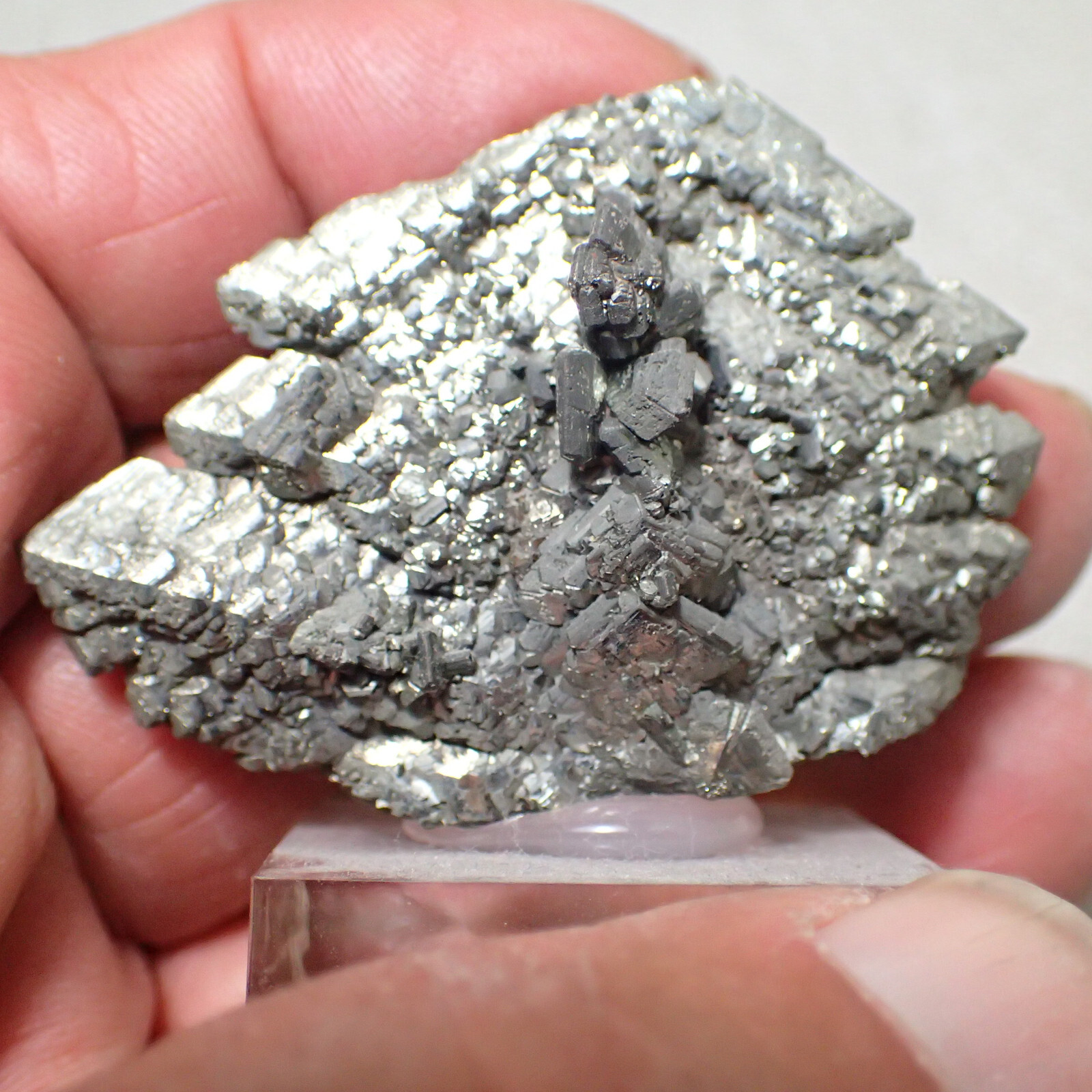 Marcasite, Nove Sedlo, Czech Republic