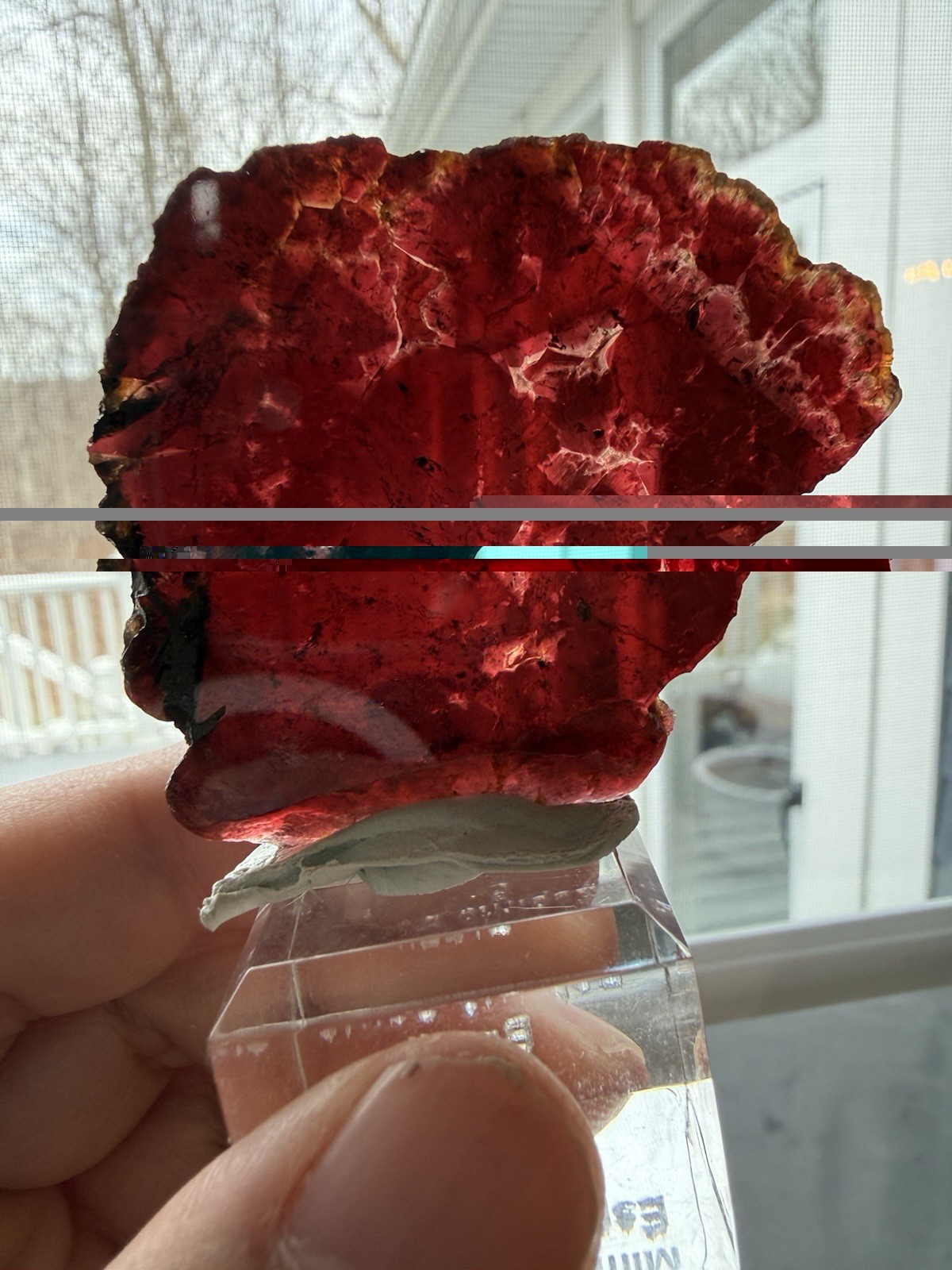 Tourmaline Slice Crystal 19.76g 50x45x4mm