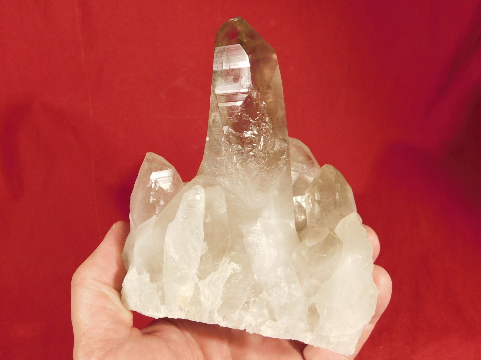 BIG! Free Standing! SMOKY Quartz Crystal Cluster From Brazil 792gr