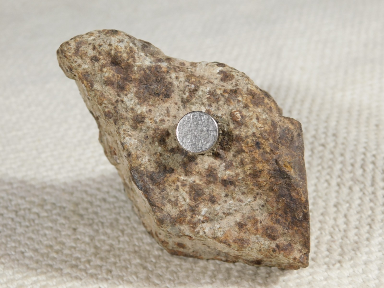 Larger! Classified NWA 8245 METEORITE 100% Natural! Erfoud, Morocco 223gr