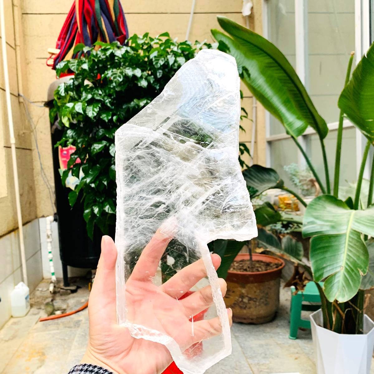2.84LB Natural Clear Transparent Selenite Slab Gypsum Crystal Mineral Specimen