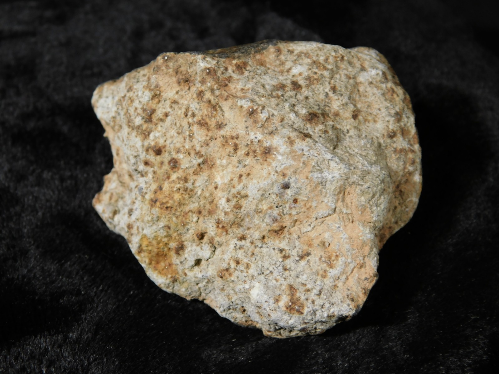 Classified NWA 8245 METEORITE 100% Natural FELL in Erfoud, Morocco 63.2gr