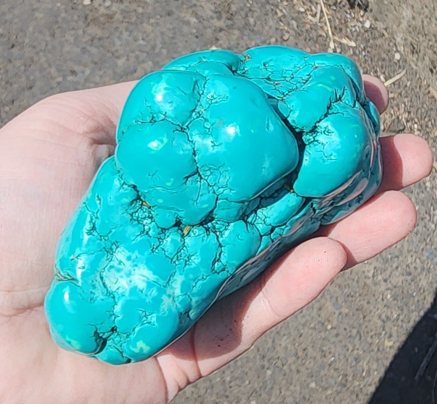 420g Natural Botryoidal Turquoise Rough Gemstone Crystal Mineral Specimen