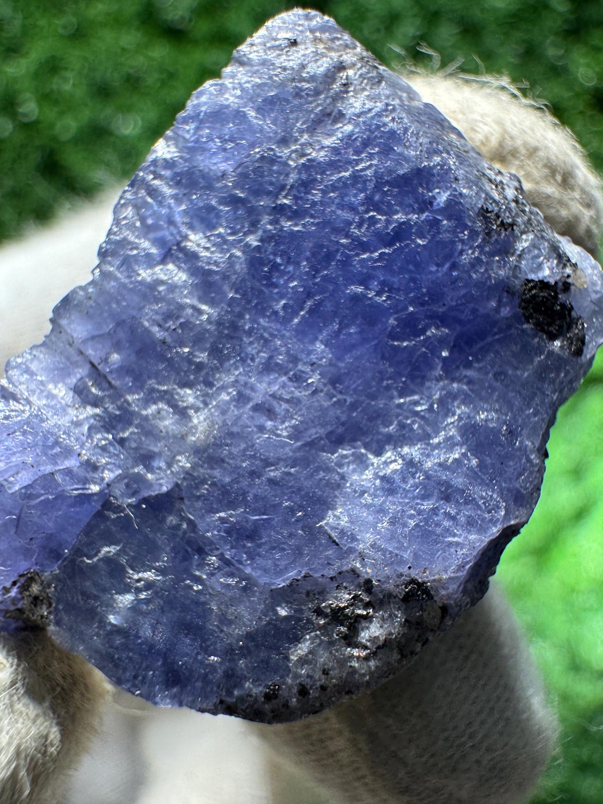 Beautiful TANZANITE Crystal with COLOR CHANGE under yellow/white light / N373