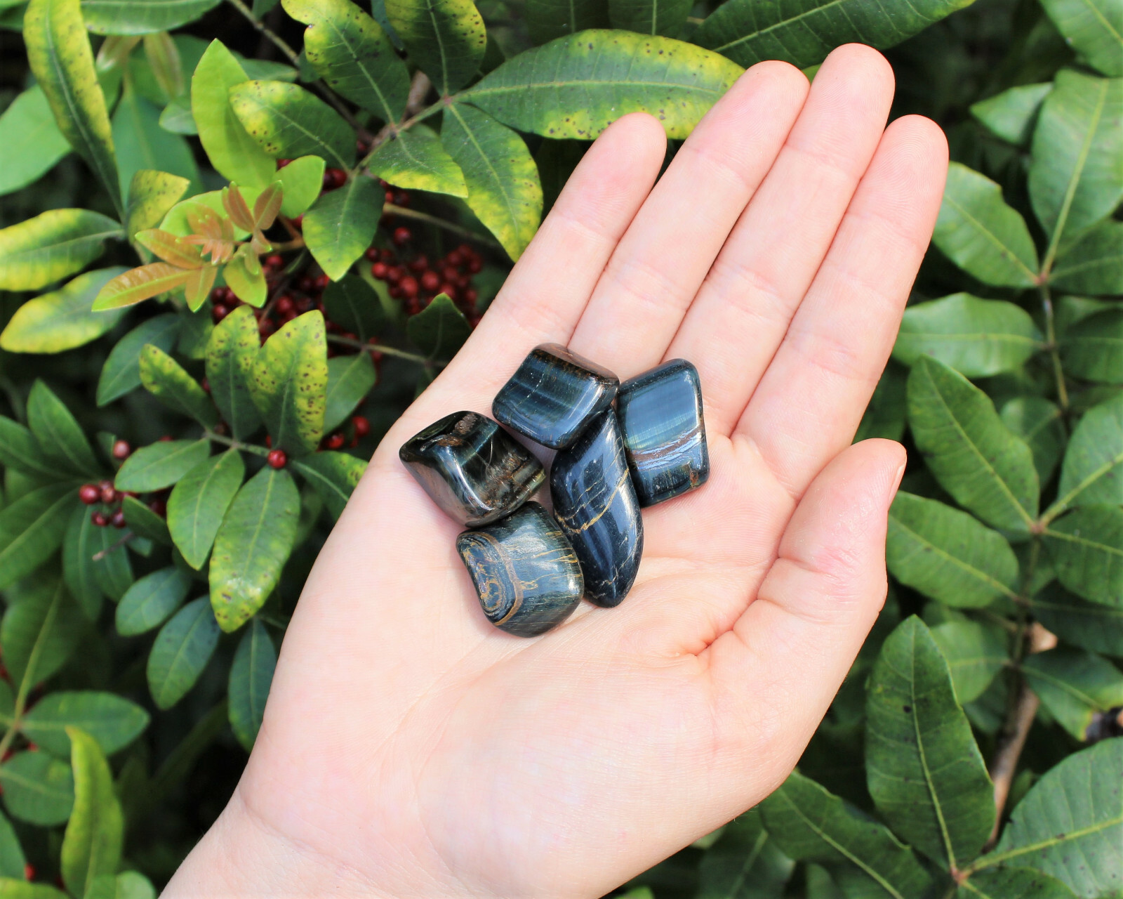 1/4 lb Bulk Lot Blue Tiger Eye Tumbled Stone Crystal Healing Reiki 4 oz