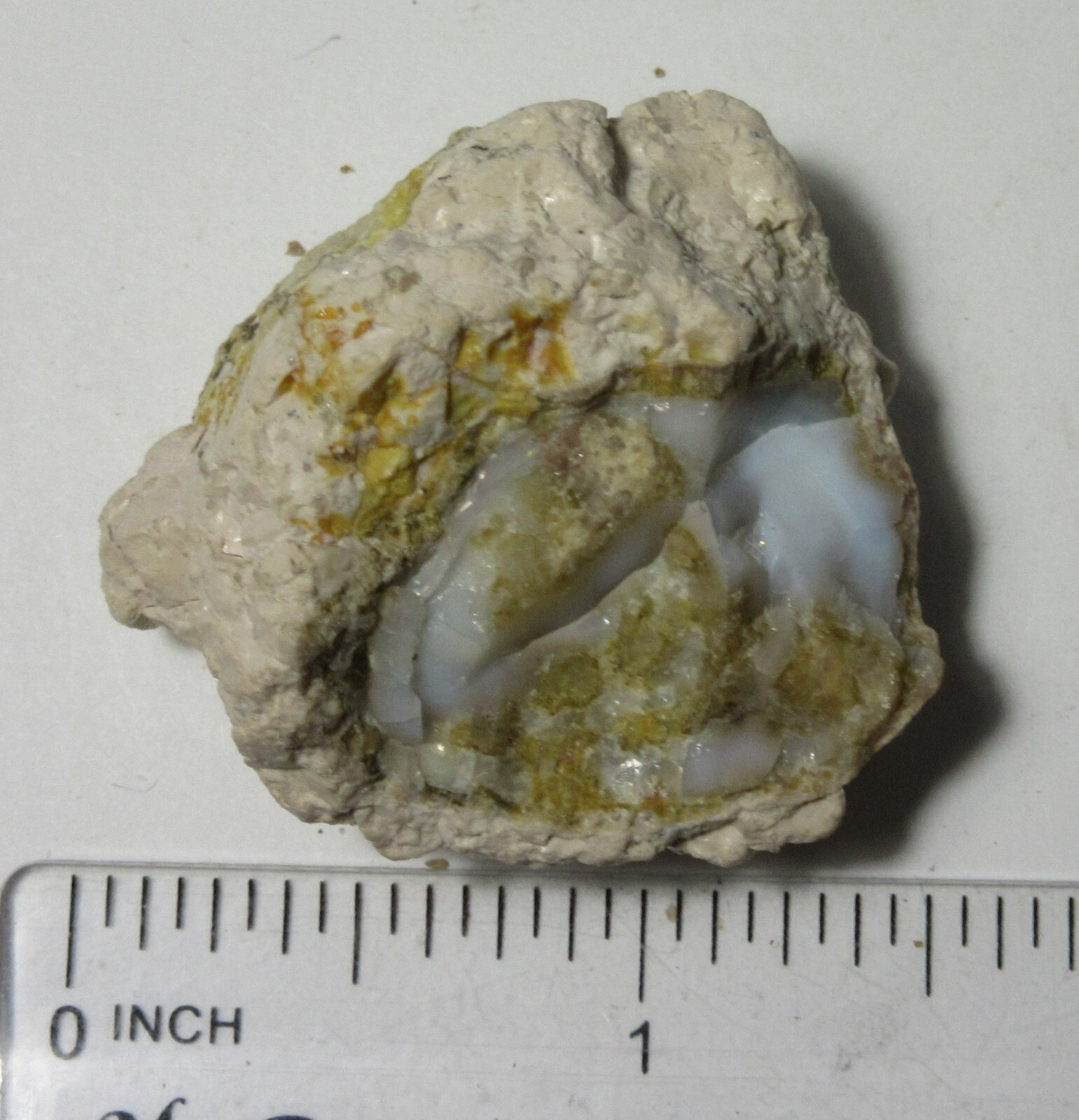 Raw OPAL Rough in Matrix Oregon 1 1/2″ Collectible RORMC-4s