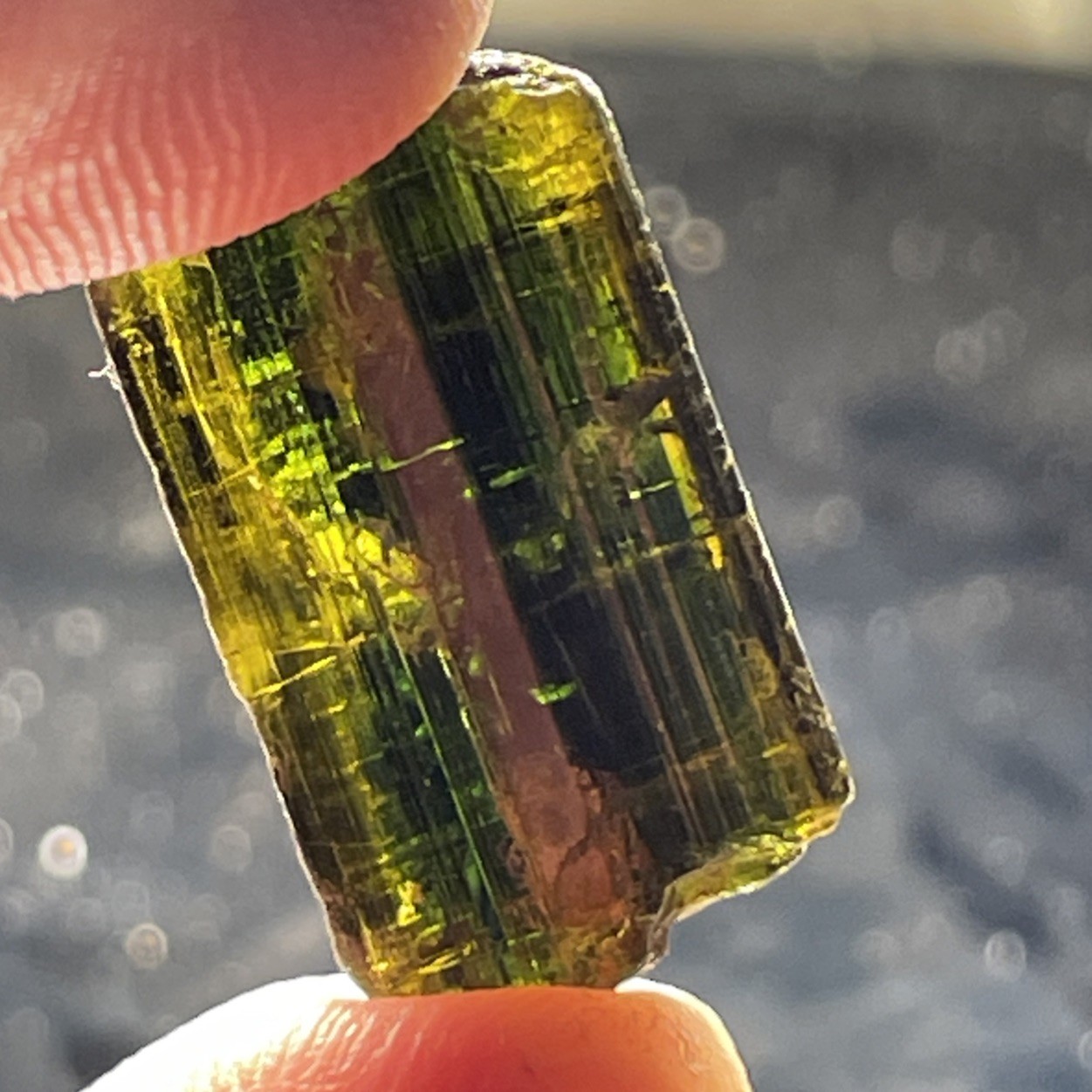 BEAUTIFUL RARE CHROME DRAVITE TOURMALINE THUMBNAIL TANZANIA, AFRICA