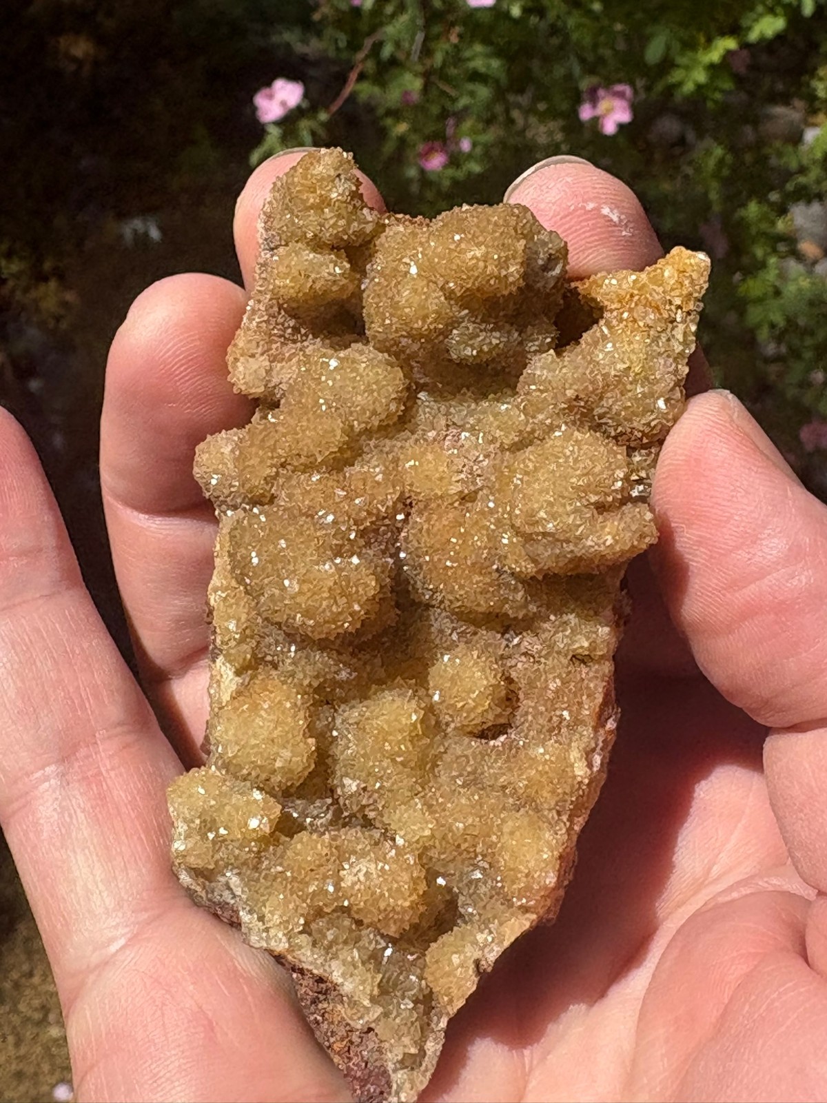Smithsonite, yellow, Monte Cristo mine, Rush, Arkansas, USA
