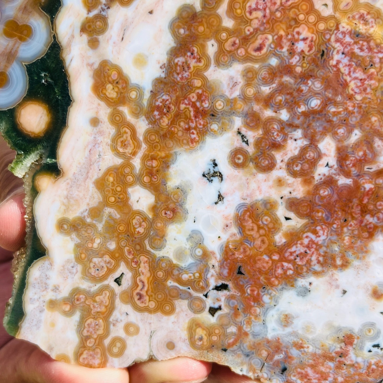 3.75LB Rare Natural The 8th Vein Ocean Jasper Slab Quartz Crystal Reiki Healing