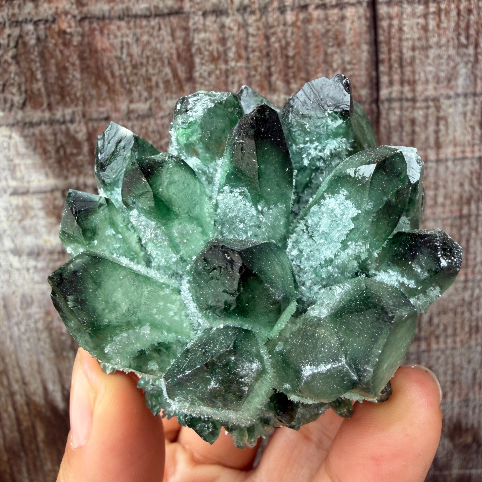 New Find green Phantom Quartz Crystal Cluster Mineral Specimen Healing 200g+ 1pc