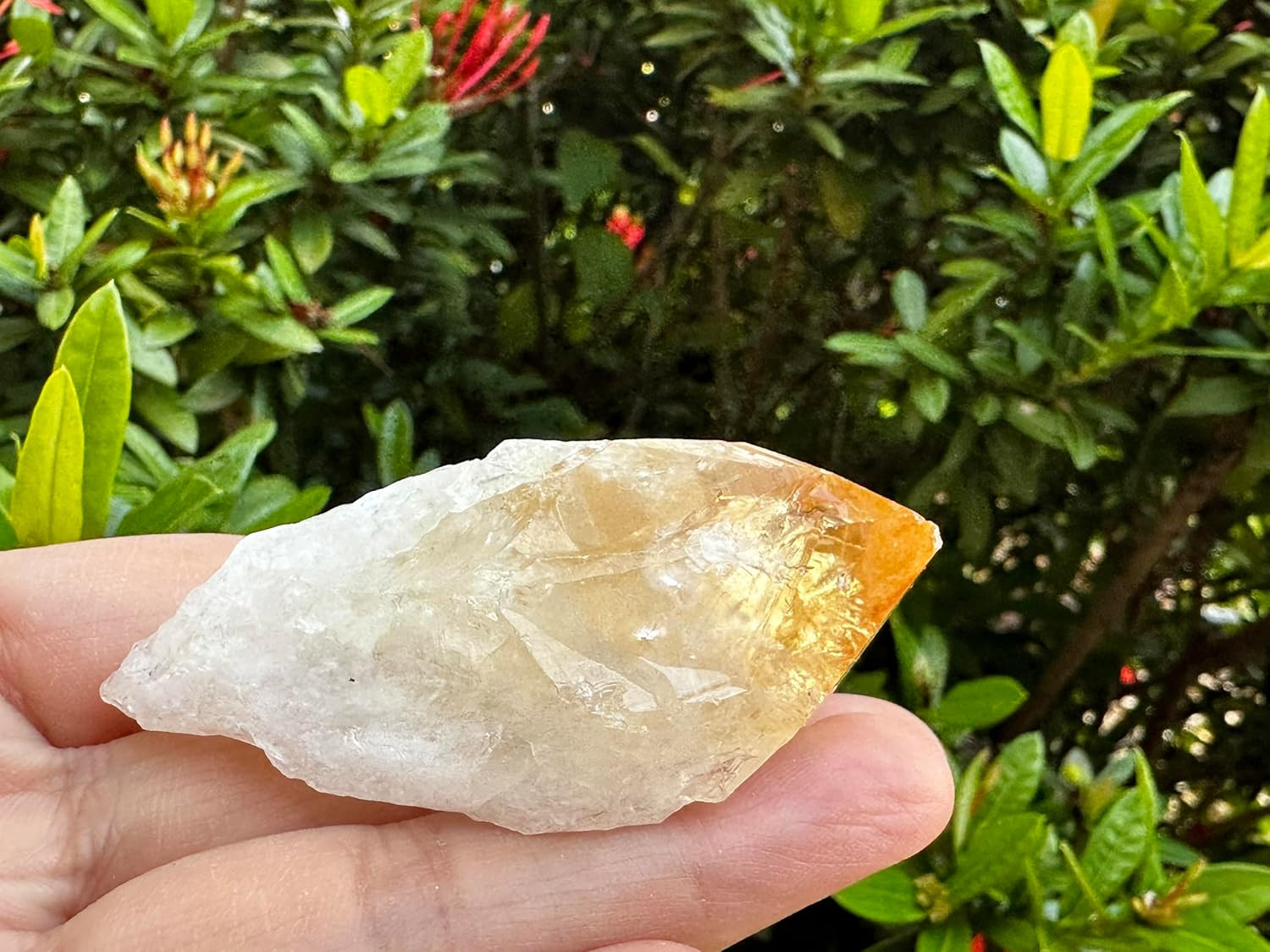 Extra Large Citrine Point, Natural Citrine Point, Citrine Point Healing Crystals