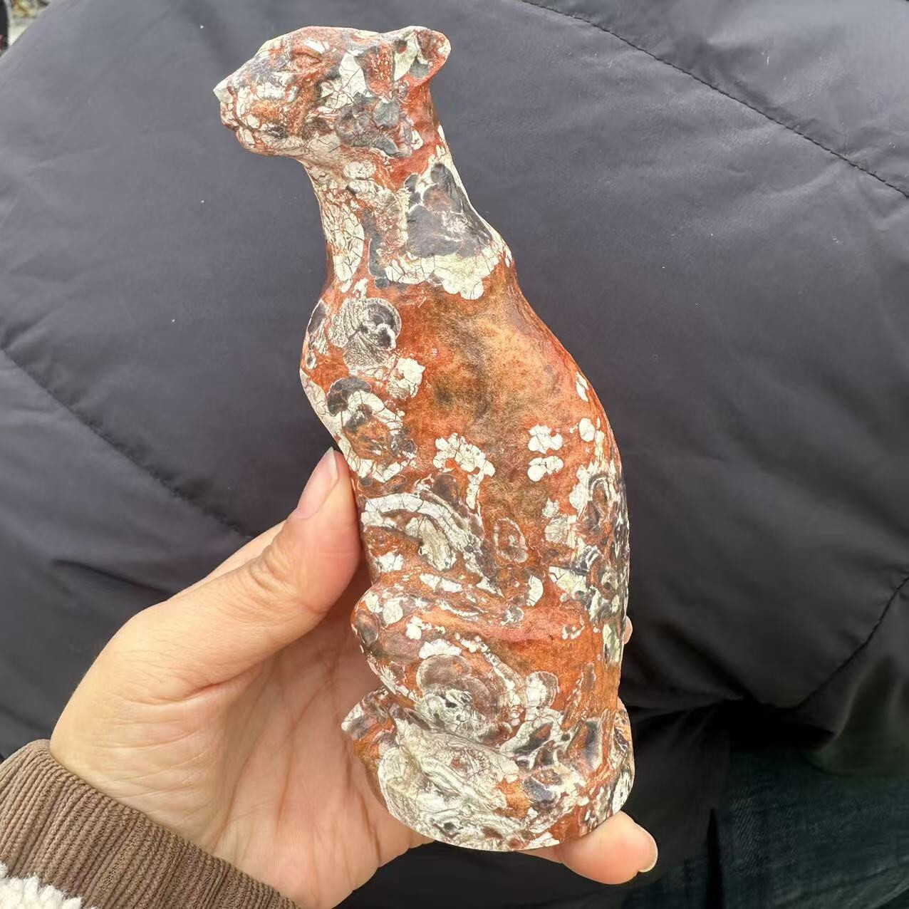 1pc Natural Money agate Quartz Carved Leopard Skull Crystal Reiki Healing Decor