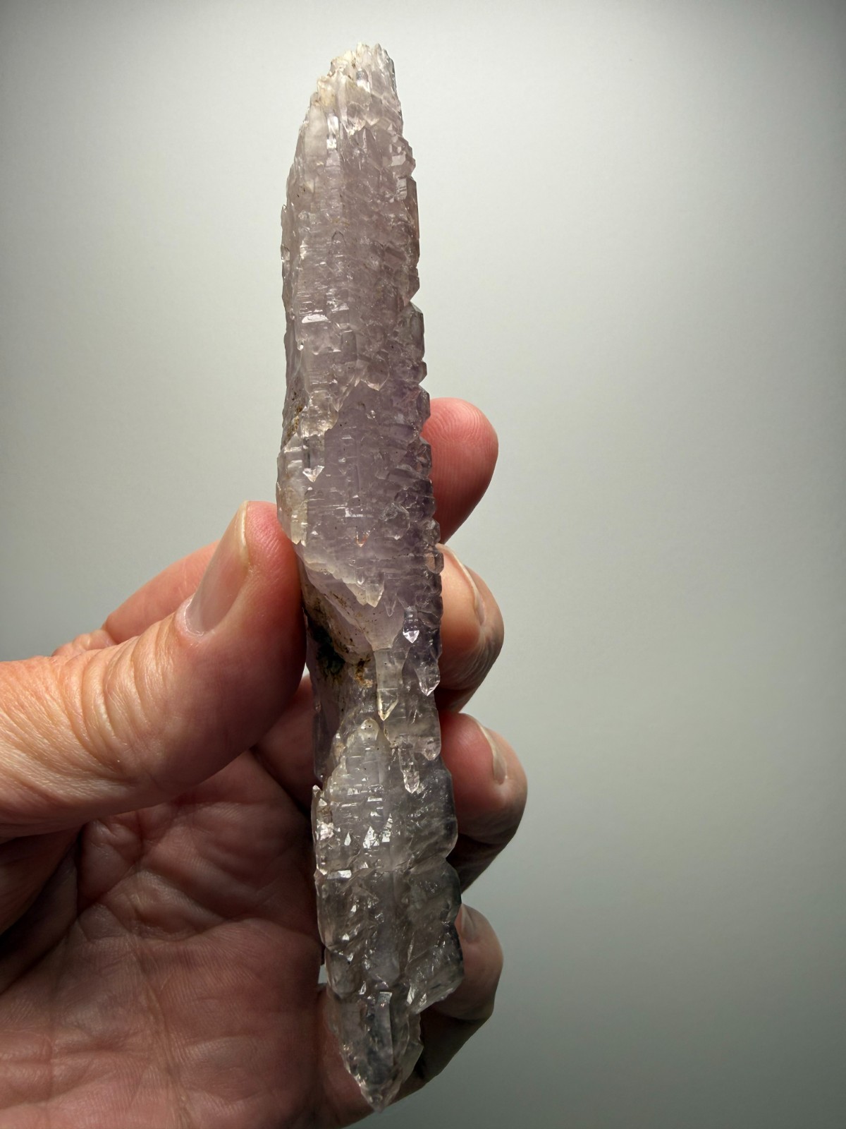 AMAZING Jacare Amethyst- Buridan’s Mule Claim, New Mexico- RARE PIECE!