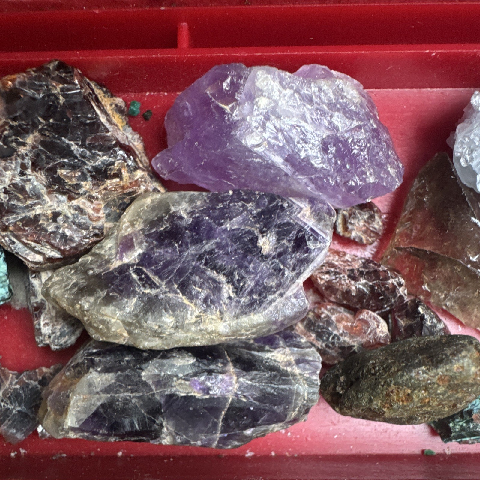 Mixed Lot Rough Rock, Crystal & Mineral Specimens in Red Case (Various)