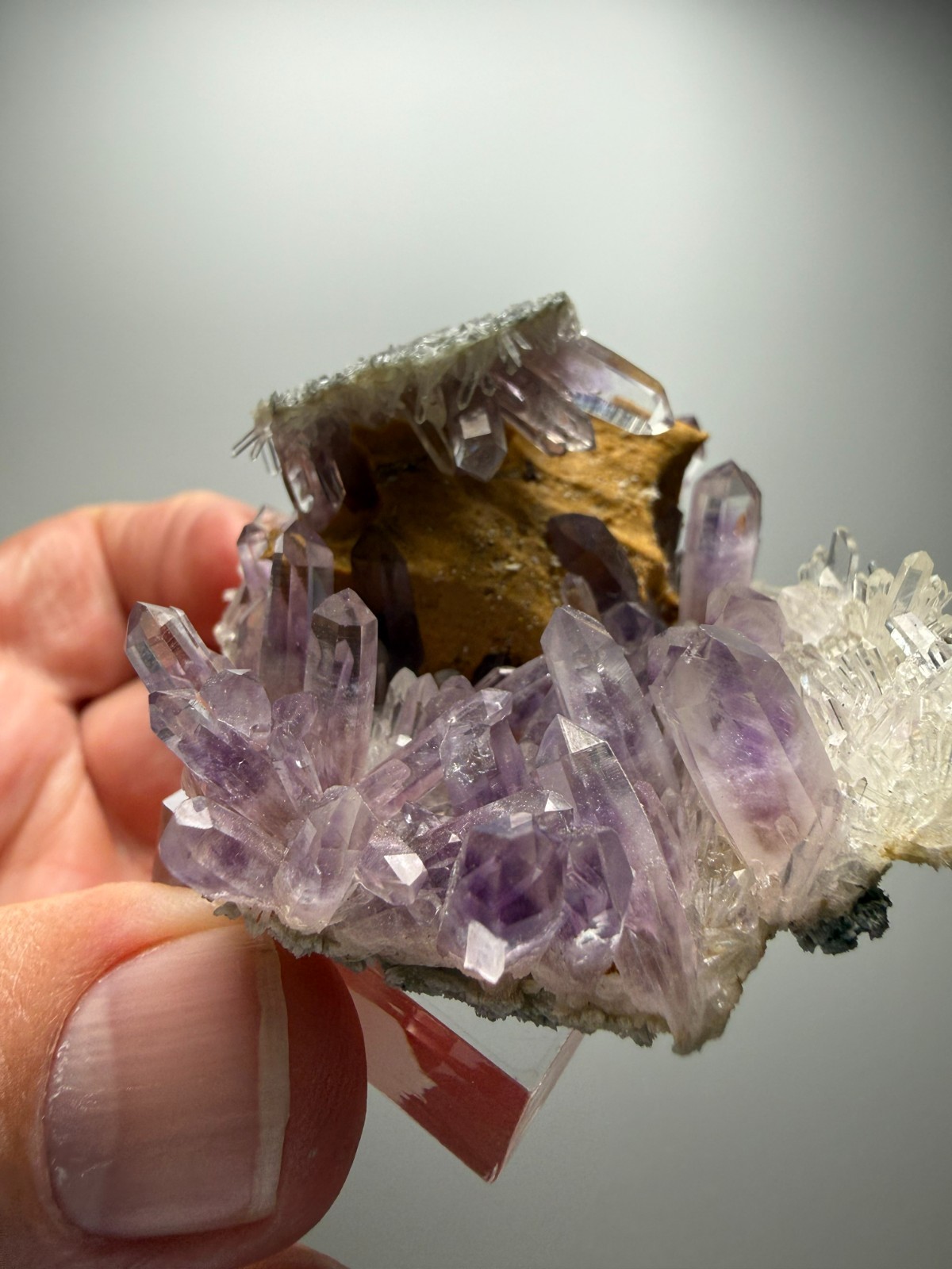 Stunning Amethyst cluster- unique formation! Las Vigas de Ramirez, Mexico