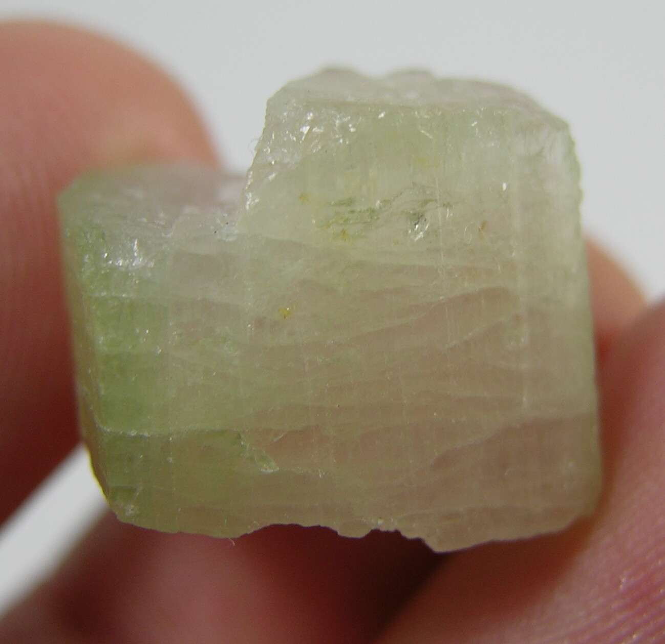 28.10ct Brazil 100% Natural Bi-Color Tourmaline Crystal Specimen 5.60g 16.00mm