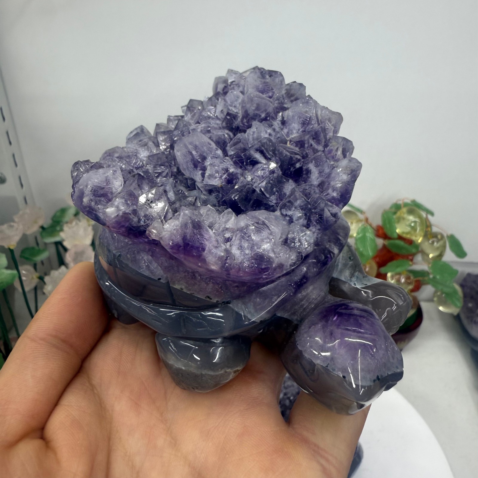 Natural agate carved Turtle quartz crystal Reiki Heal gift random 1pc